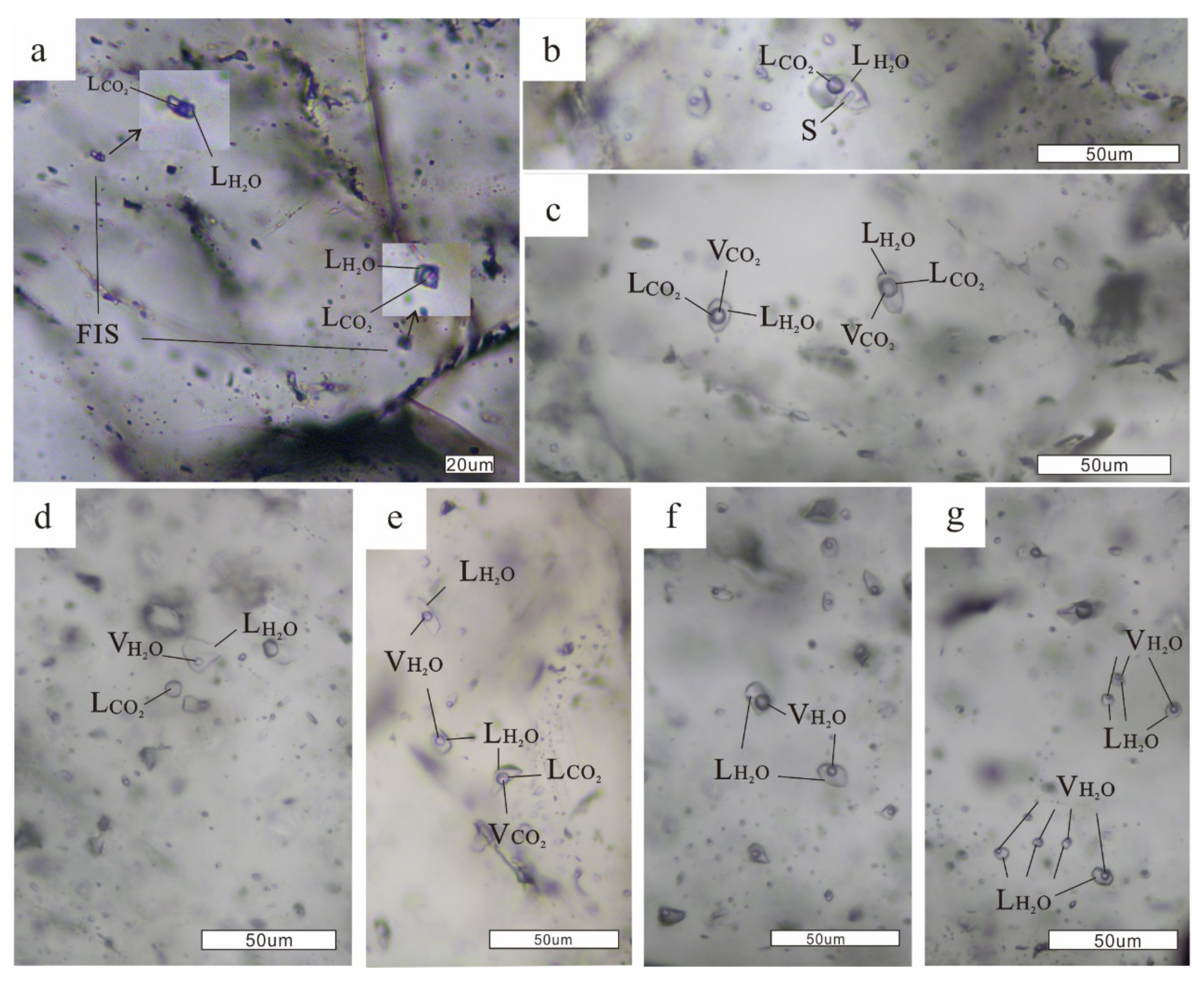 Minerals 11 01309 g005