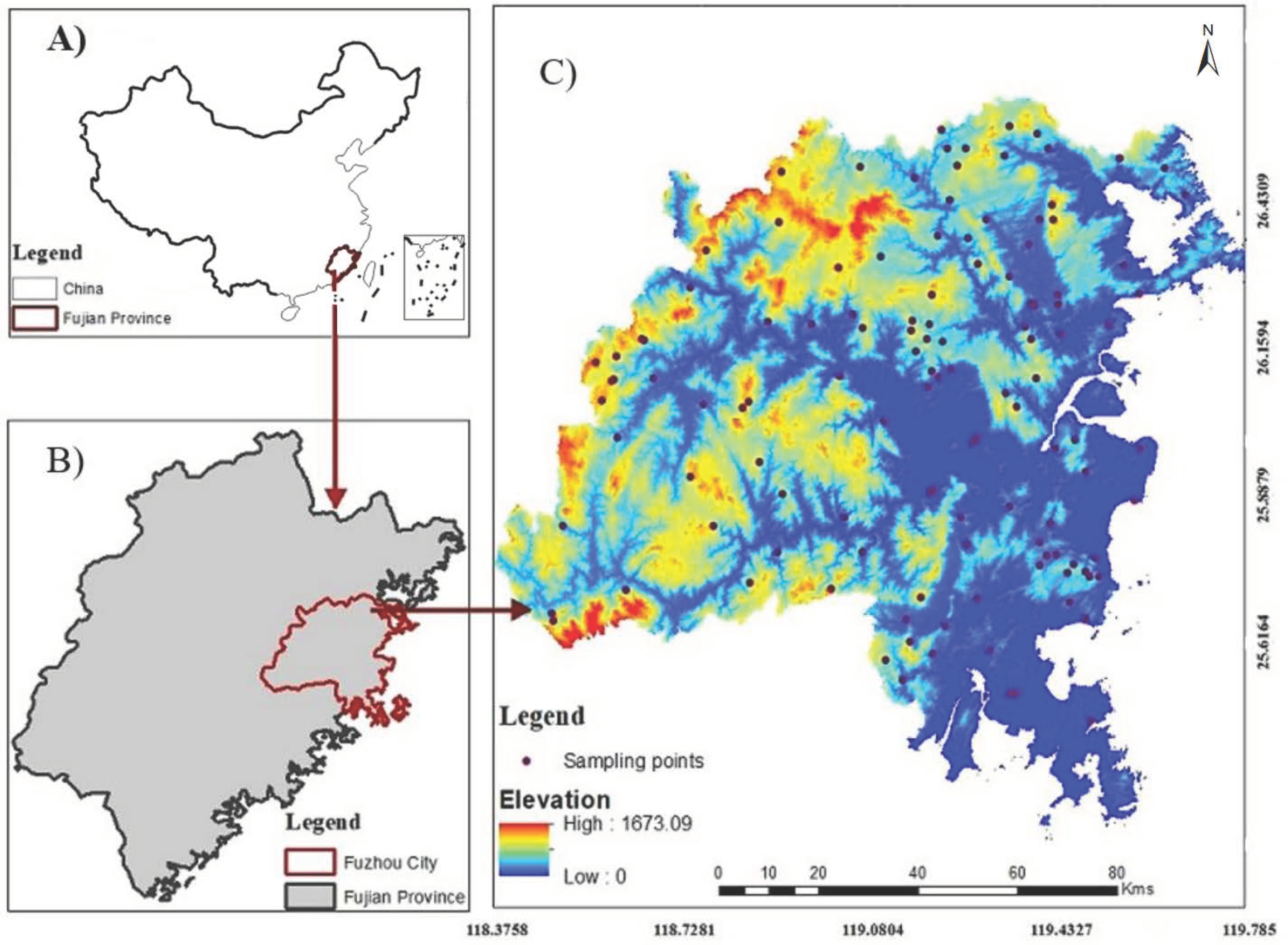 Minerals 11 01325 g001