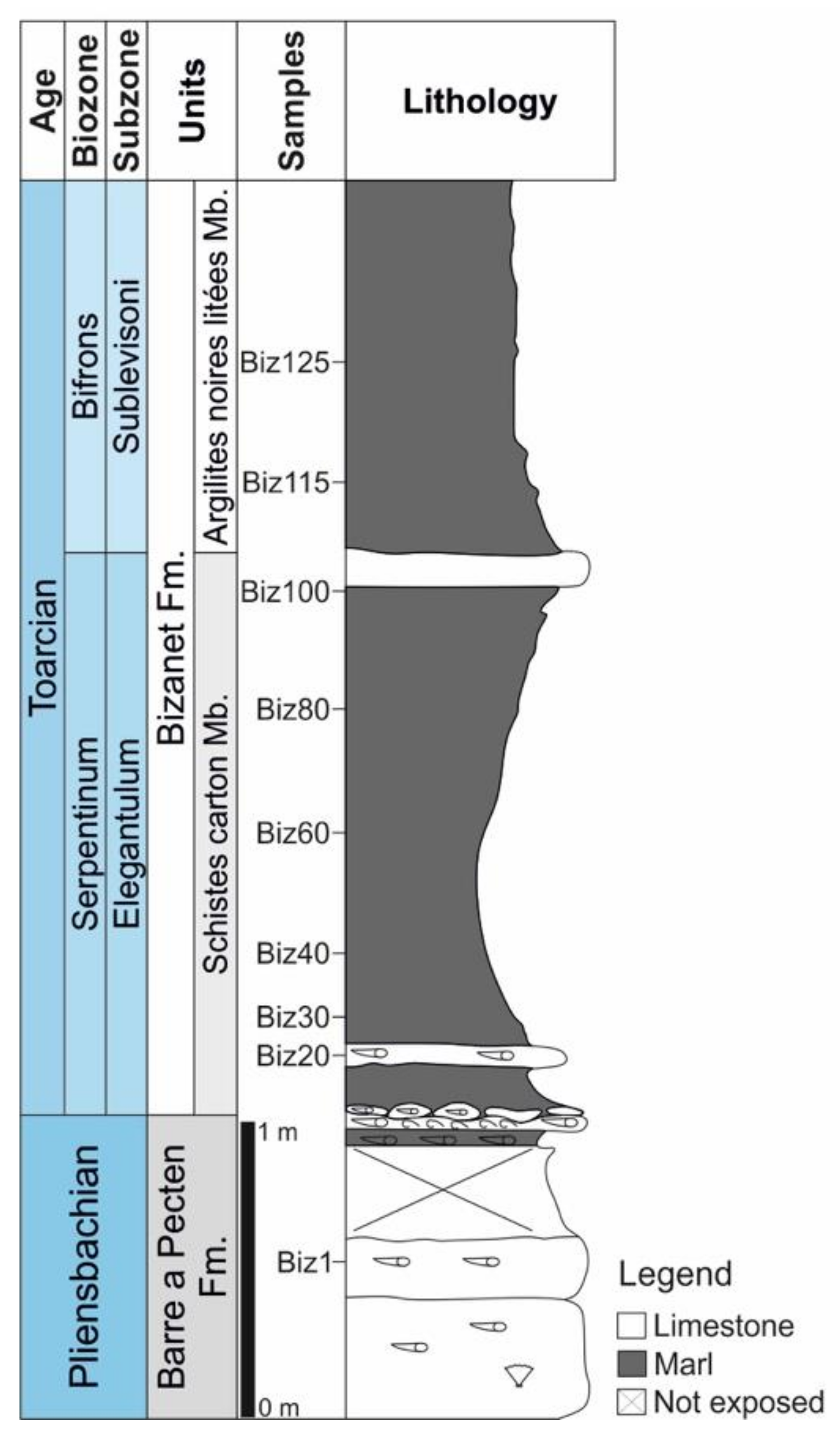 Minerals 11 01338 g002