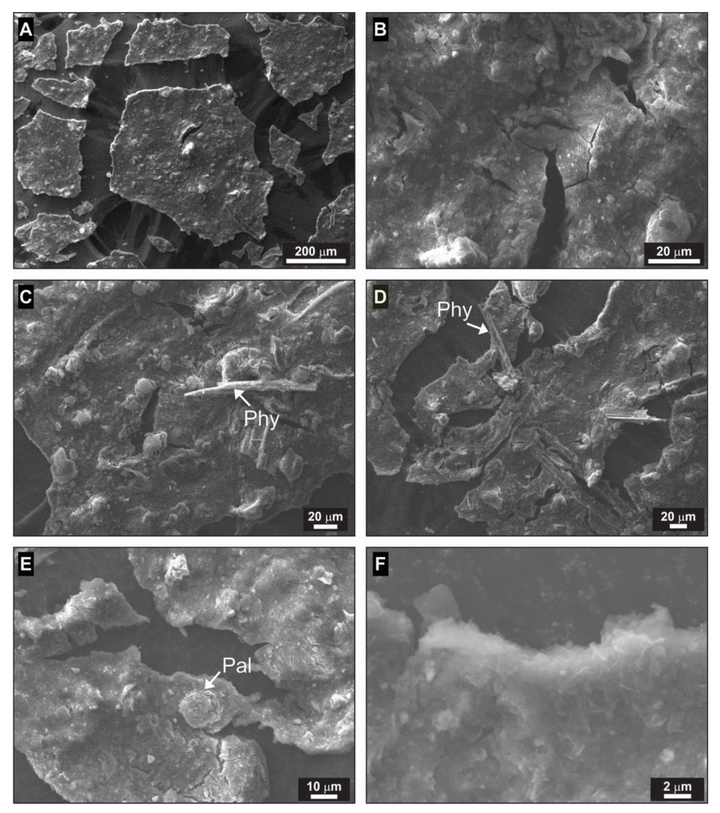 Minerals 11 01338 g004
