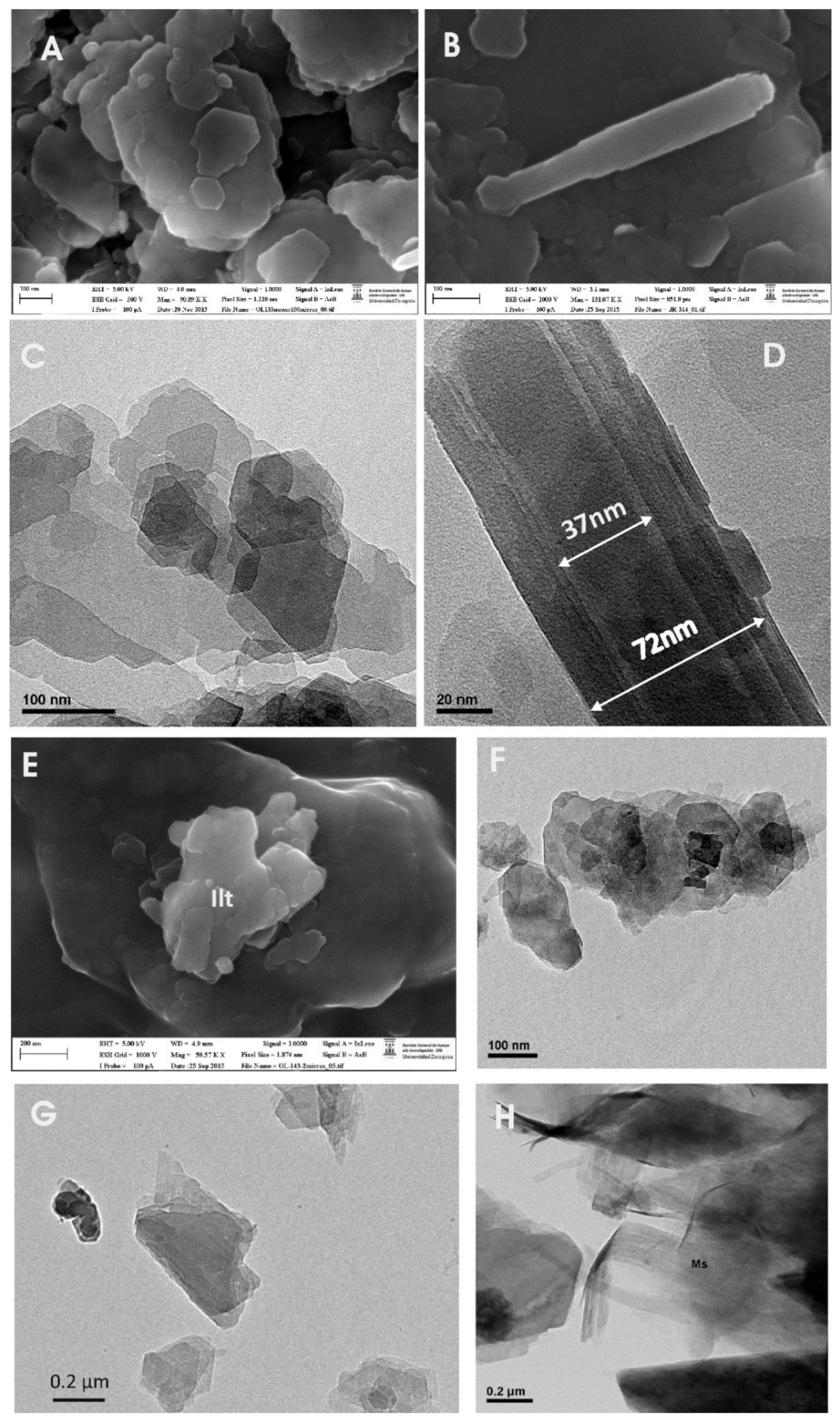 Minerals 11 01339 g004