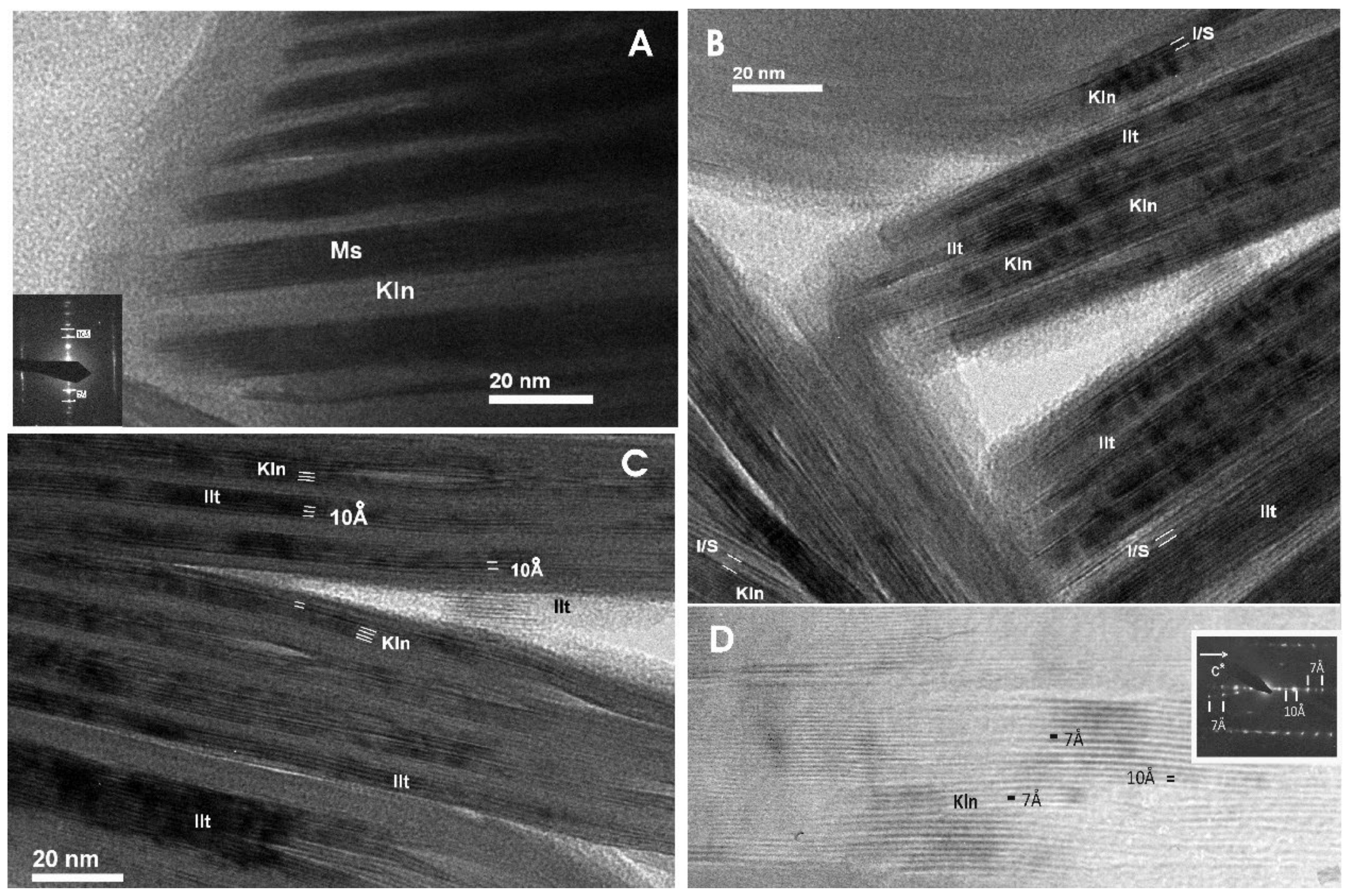 Minerals 11 01339 g006