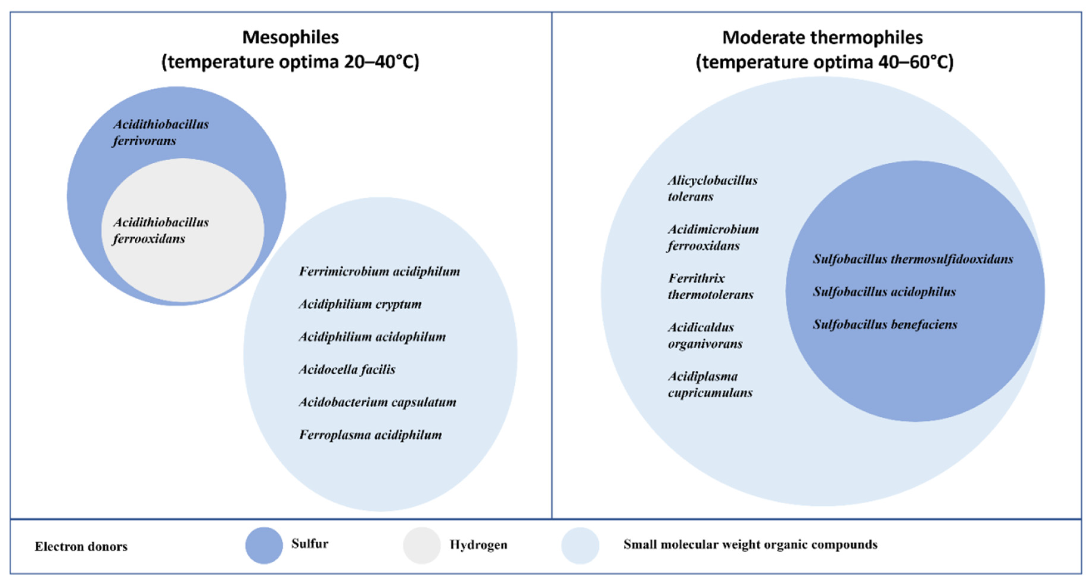 Minerals 11 01349 g001
