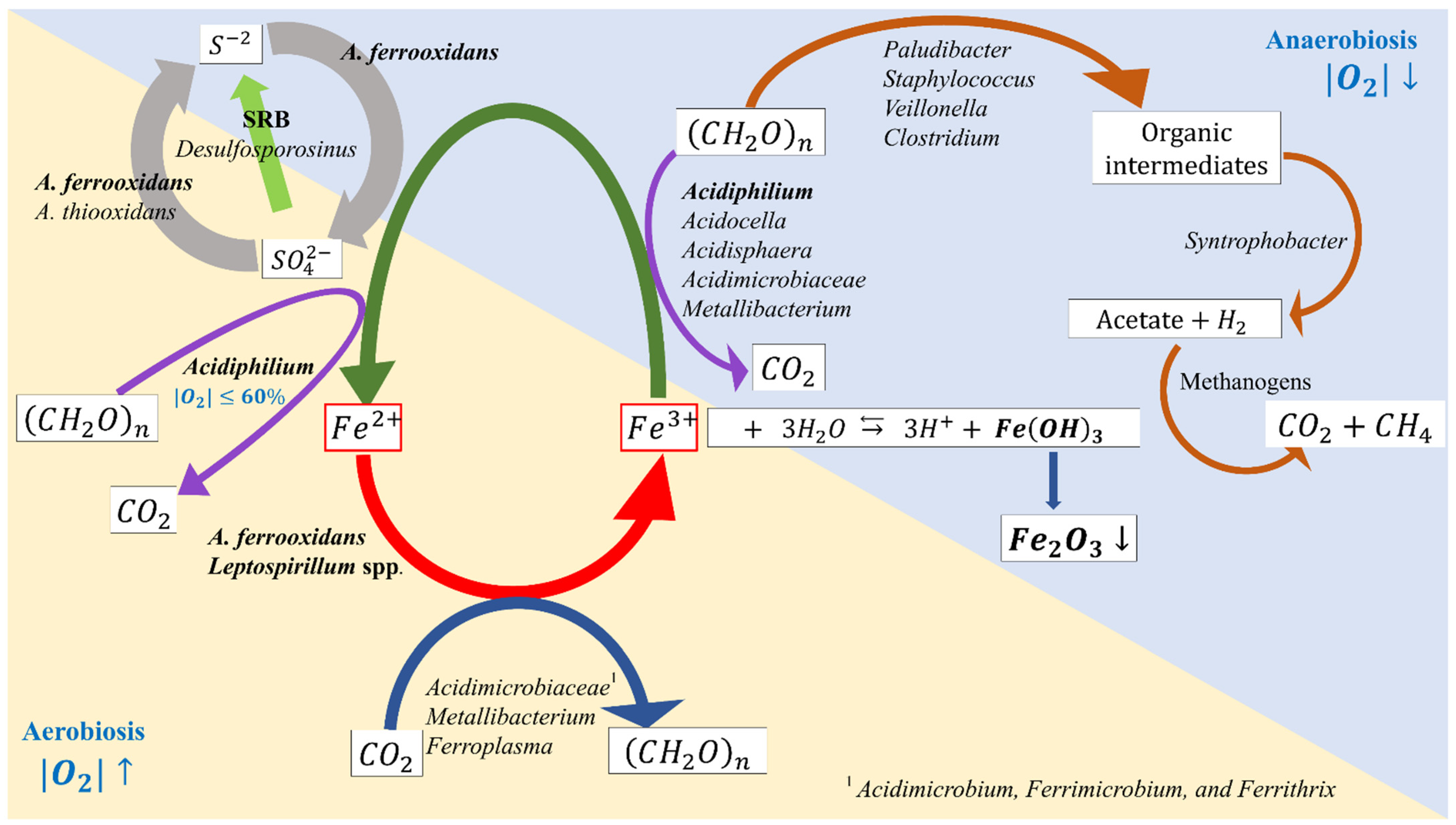 Minerals 11 01349 g003