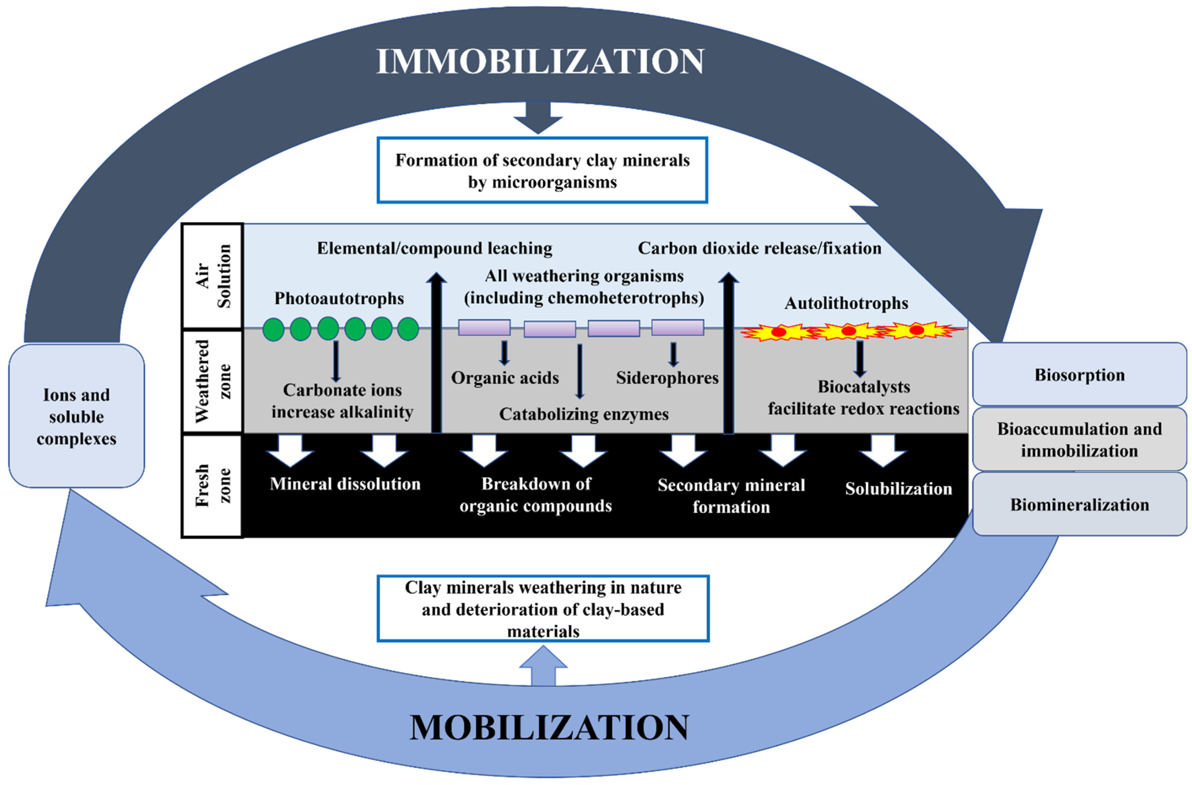 Minerals 11 01349 g004