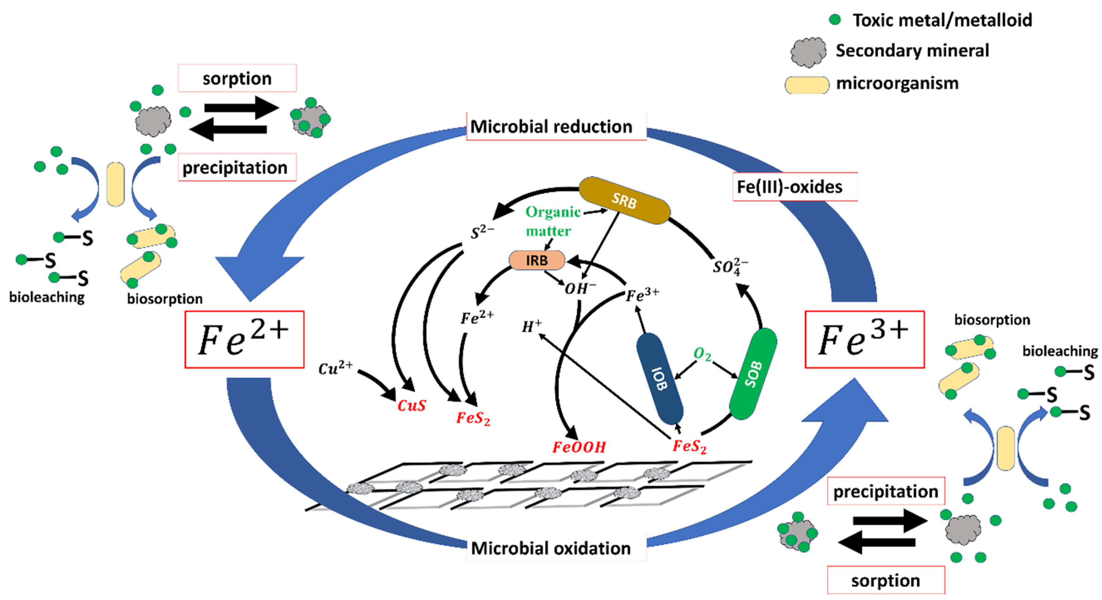 Minerals 11 01349 g006