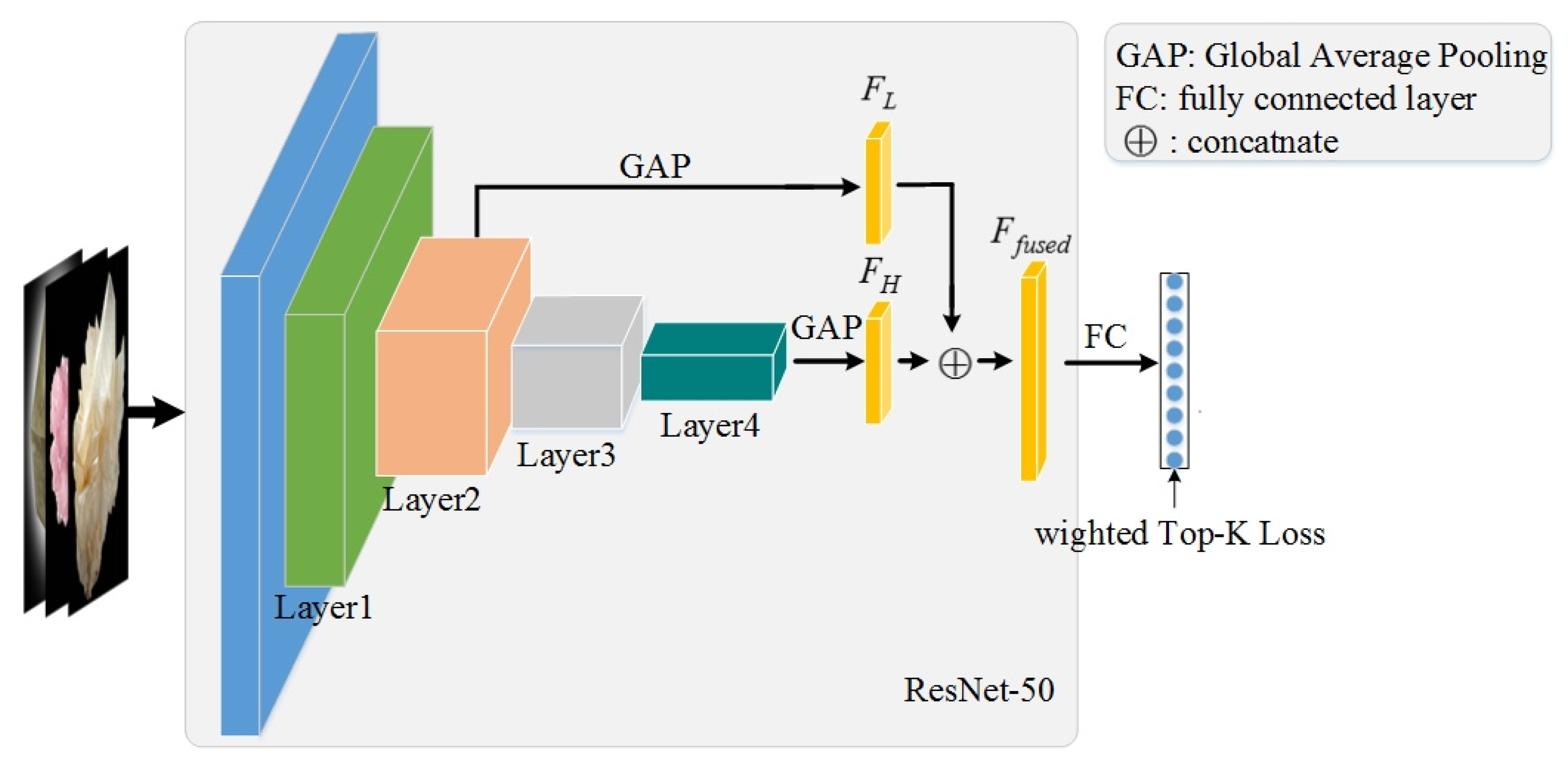 Minerals 11 01354 g001