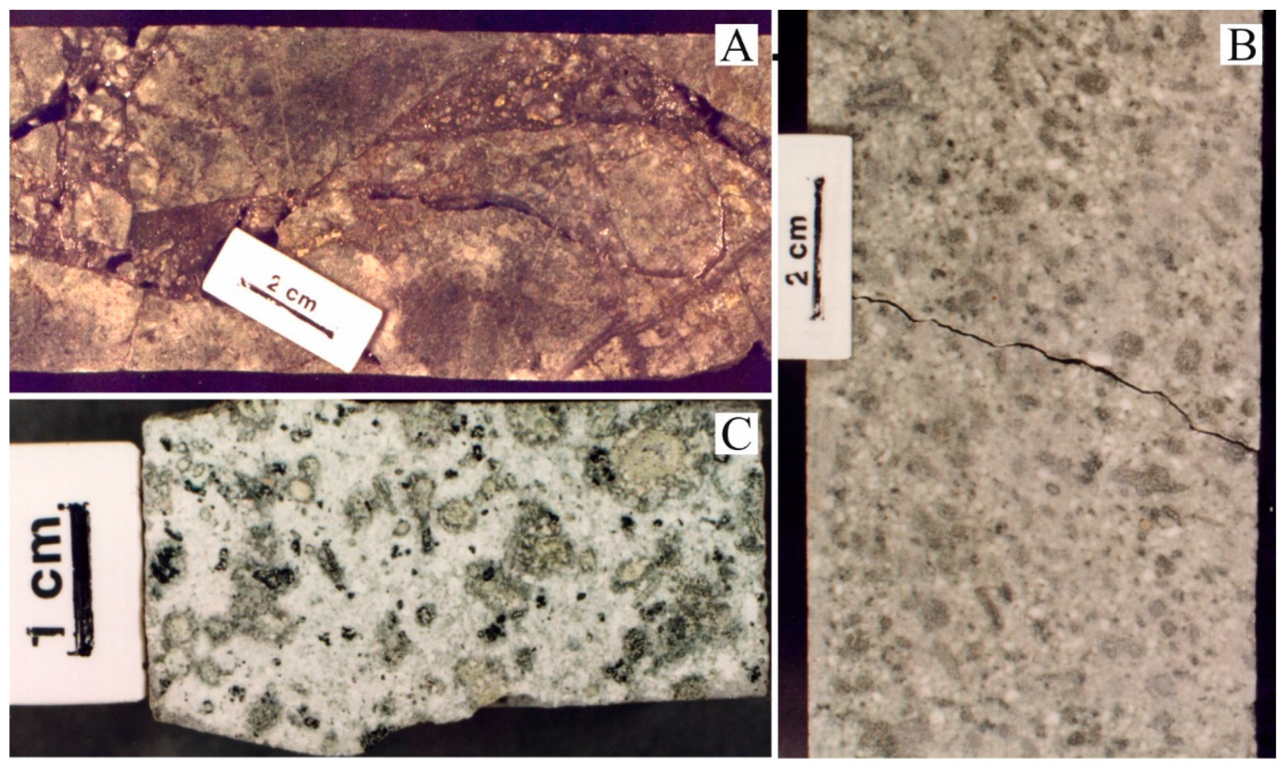 Minerals 11 01358 g002