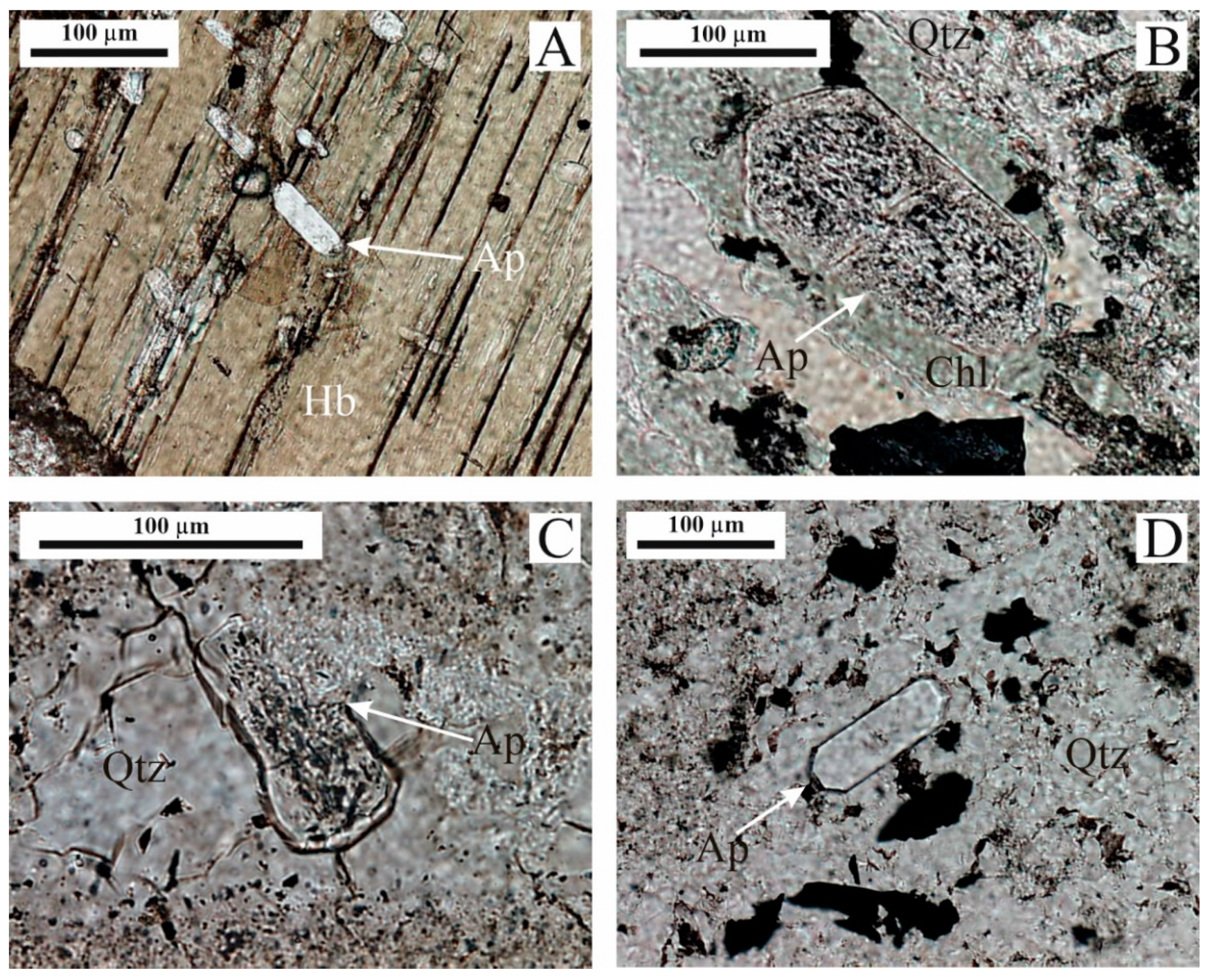 Minerals 11 01358 g003