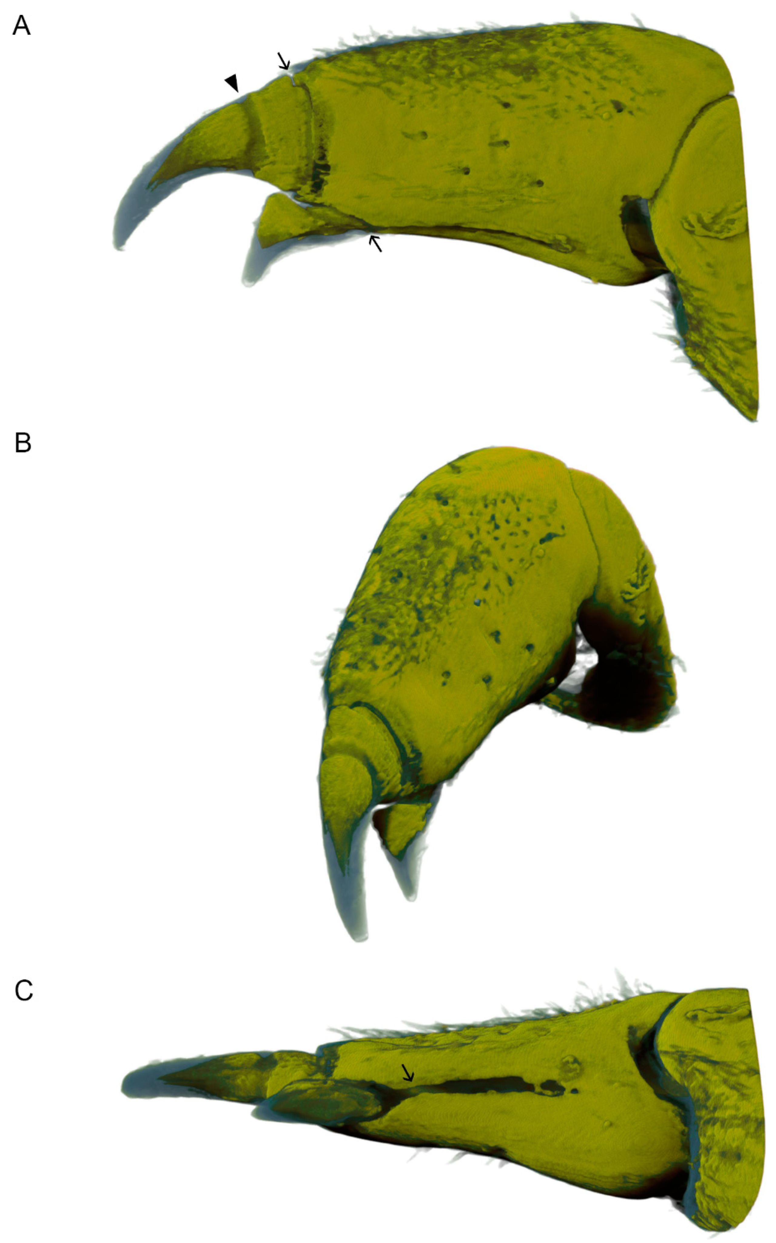 Minerals 11 01373 g004