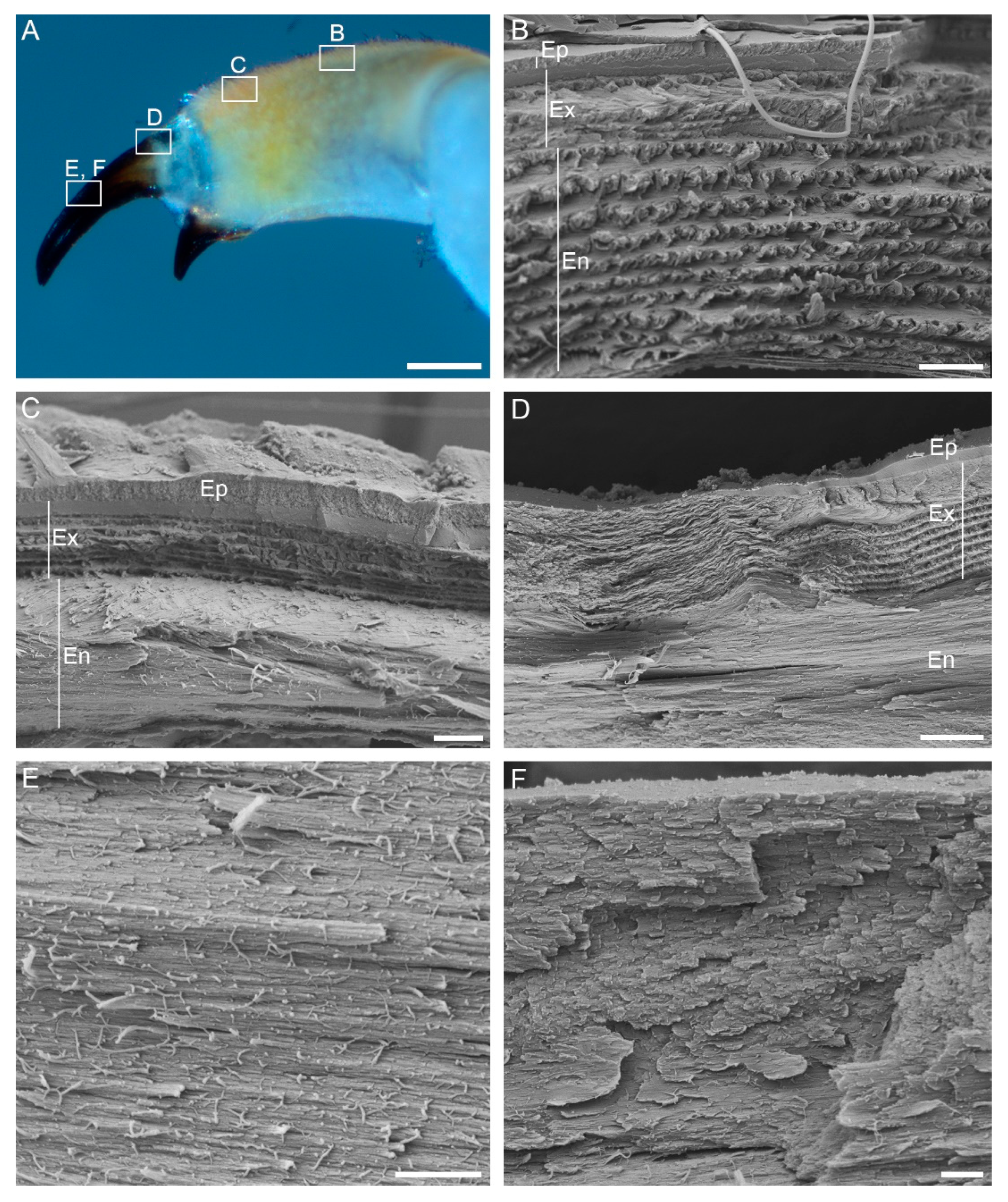 Minerals 11 01373 g005