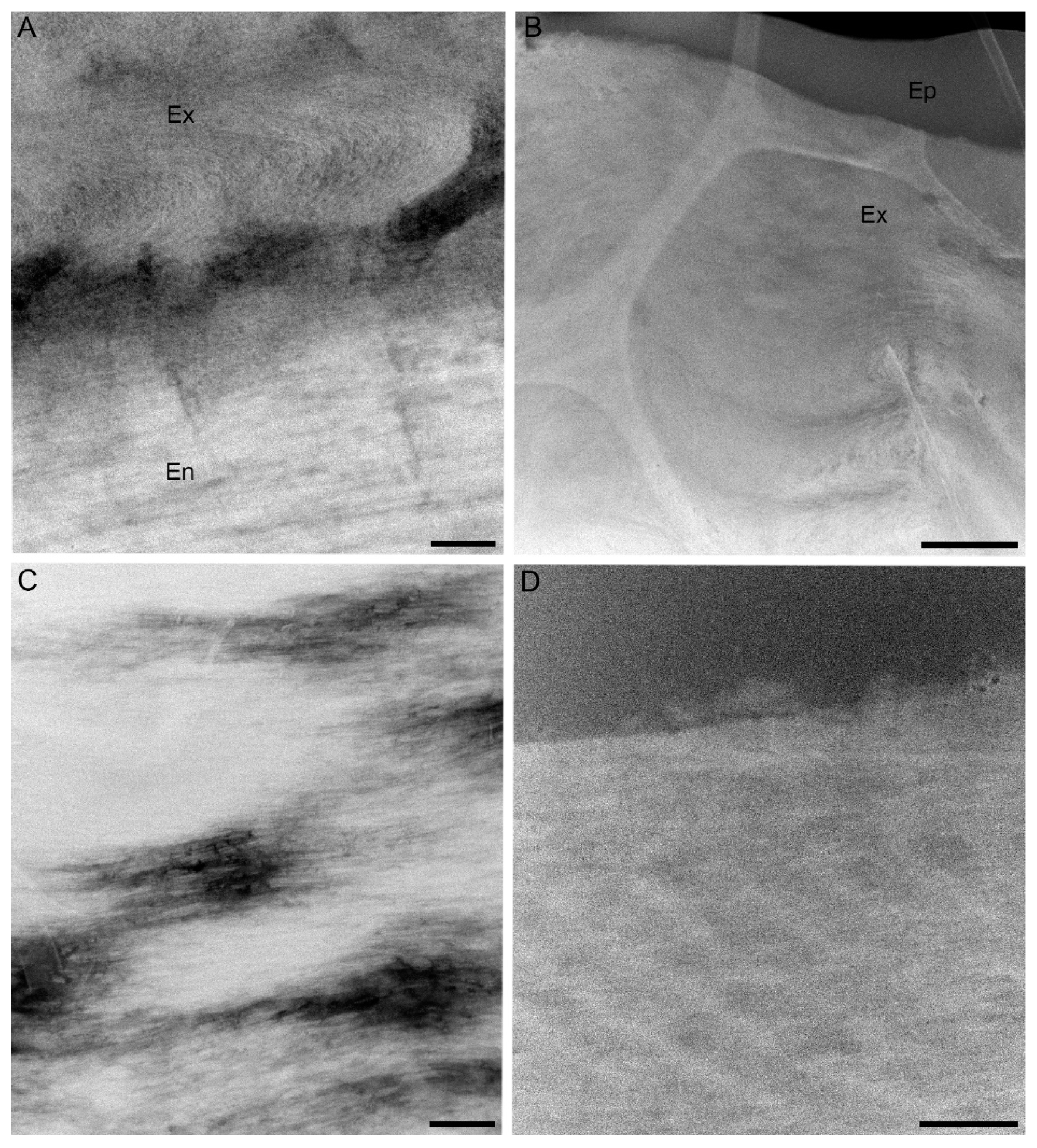 Minerals 11 01373 g006