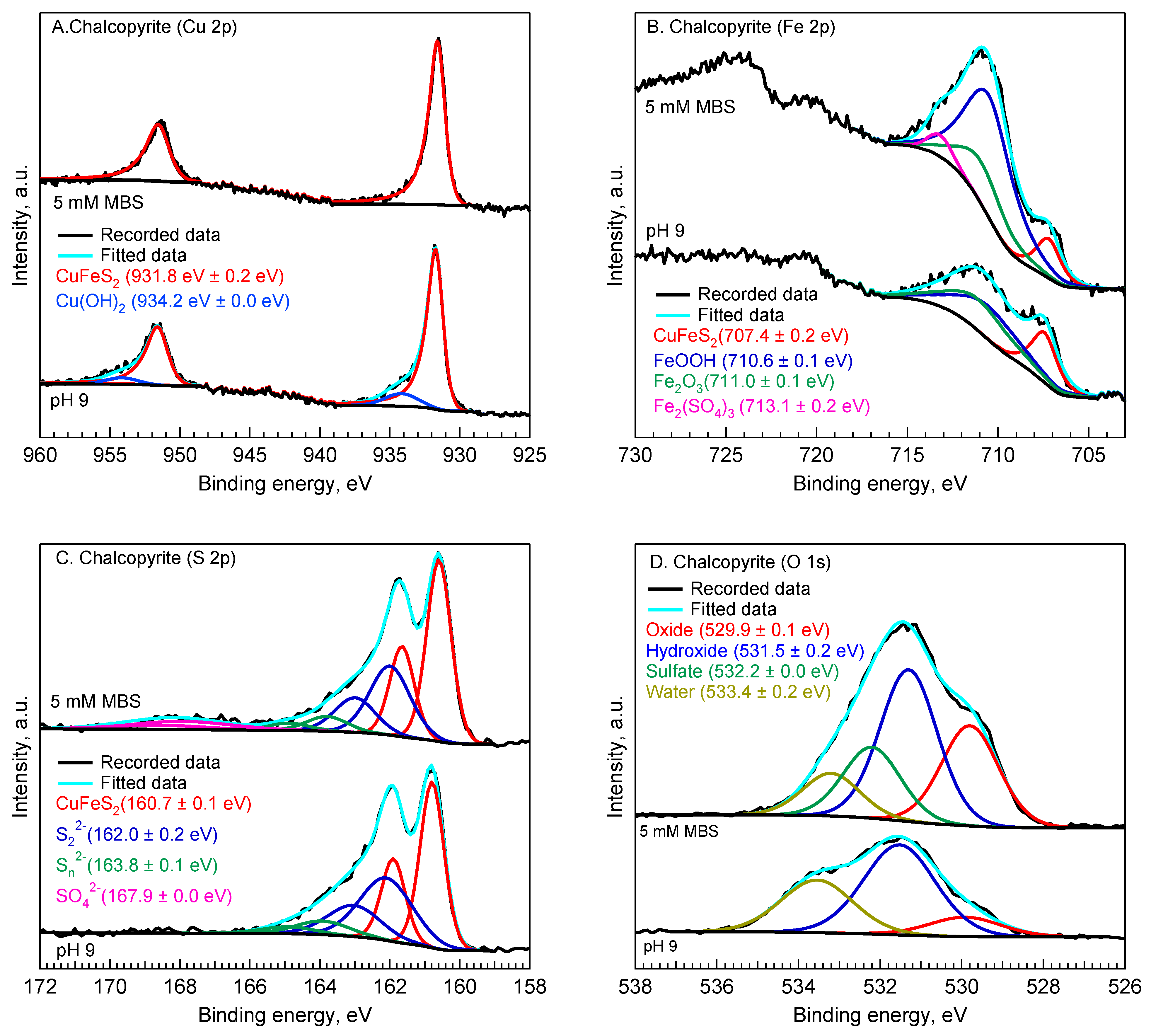 Minerals 11 01377 g003