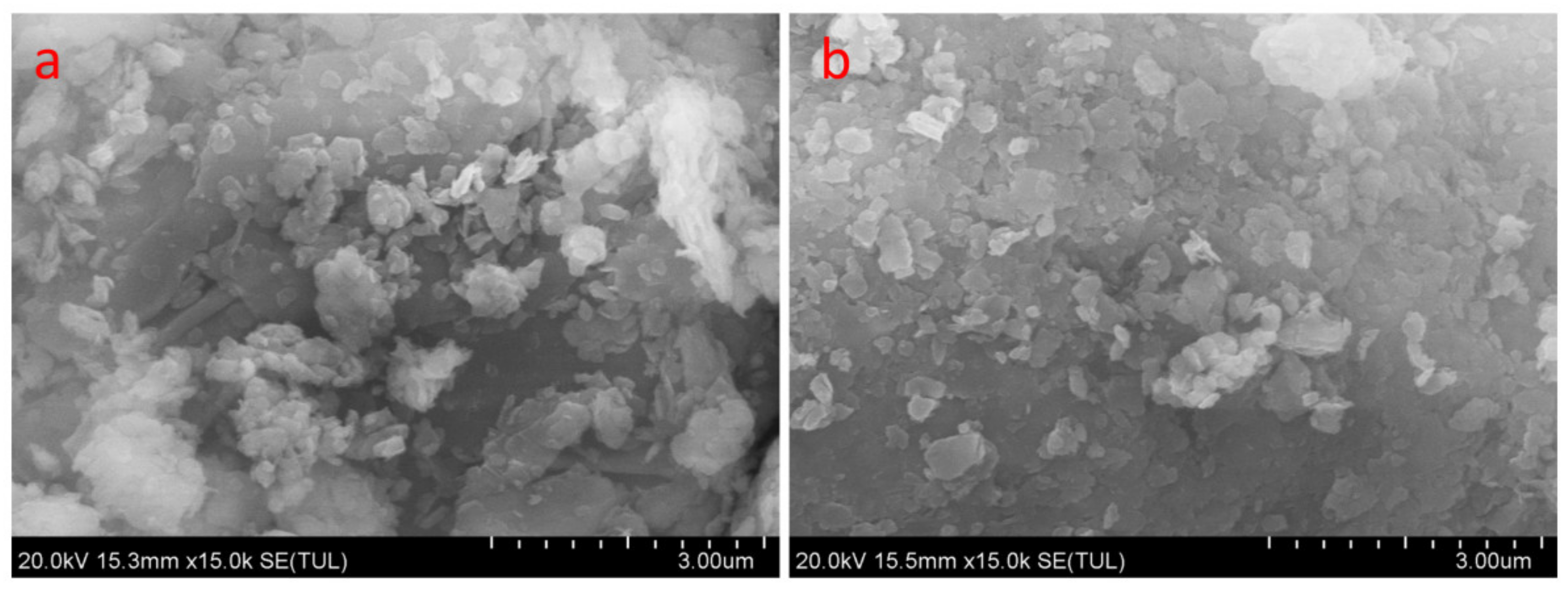 Minerals 11 01388 g003