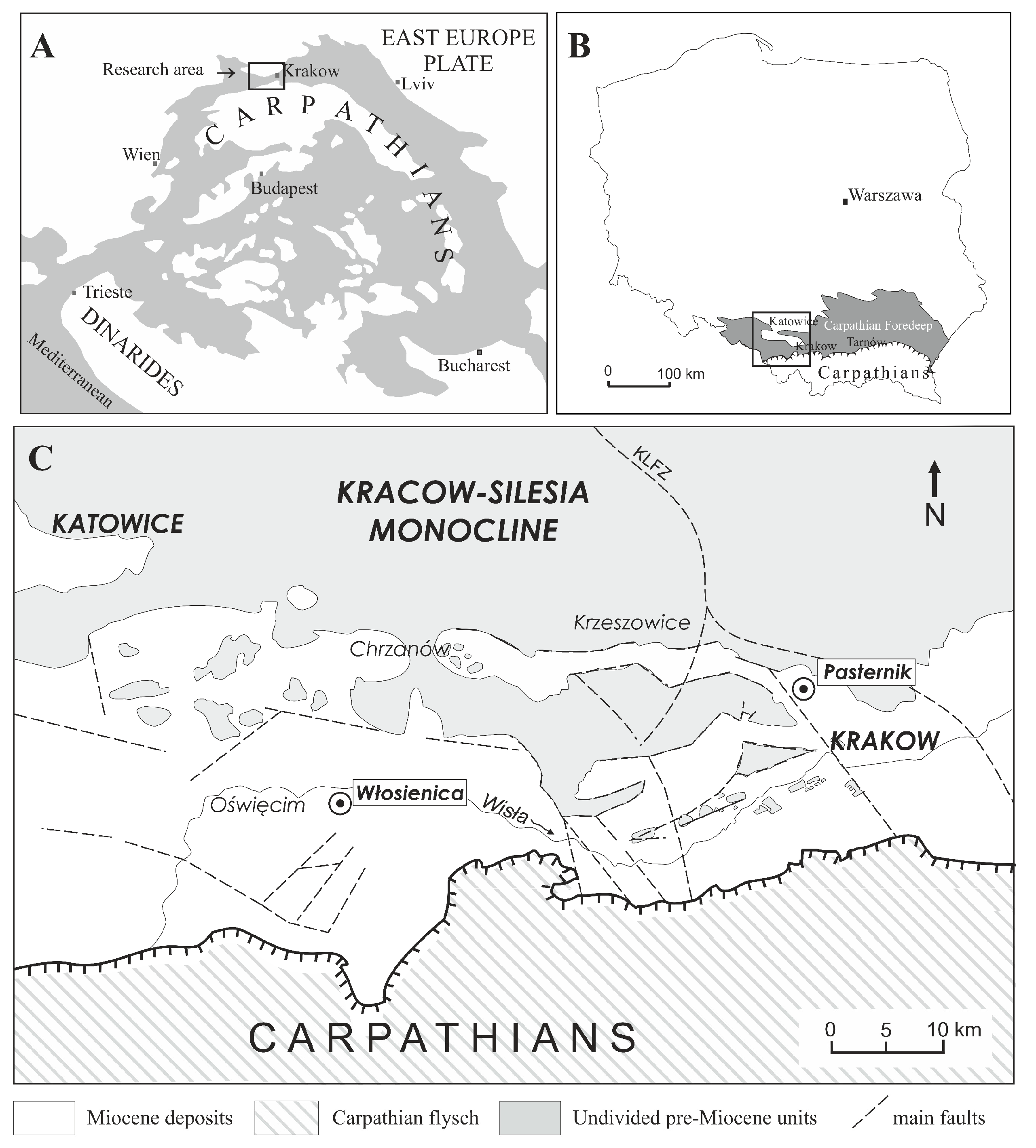 Minerals 11 01403 g001