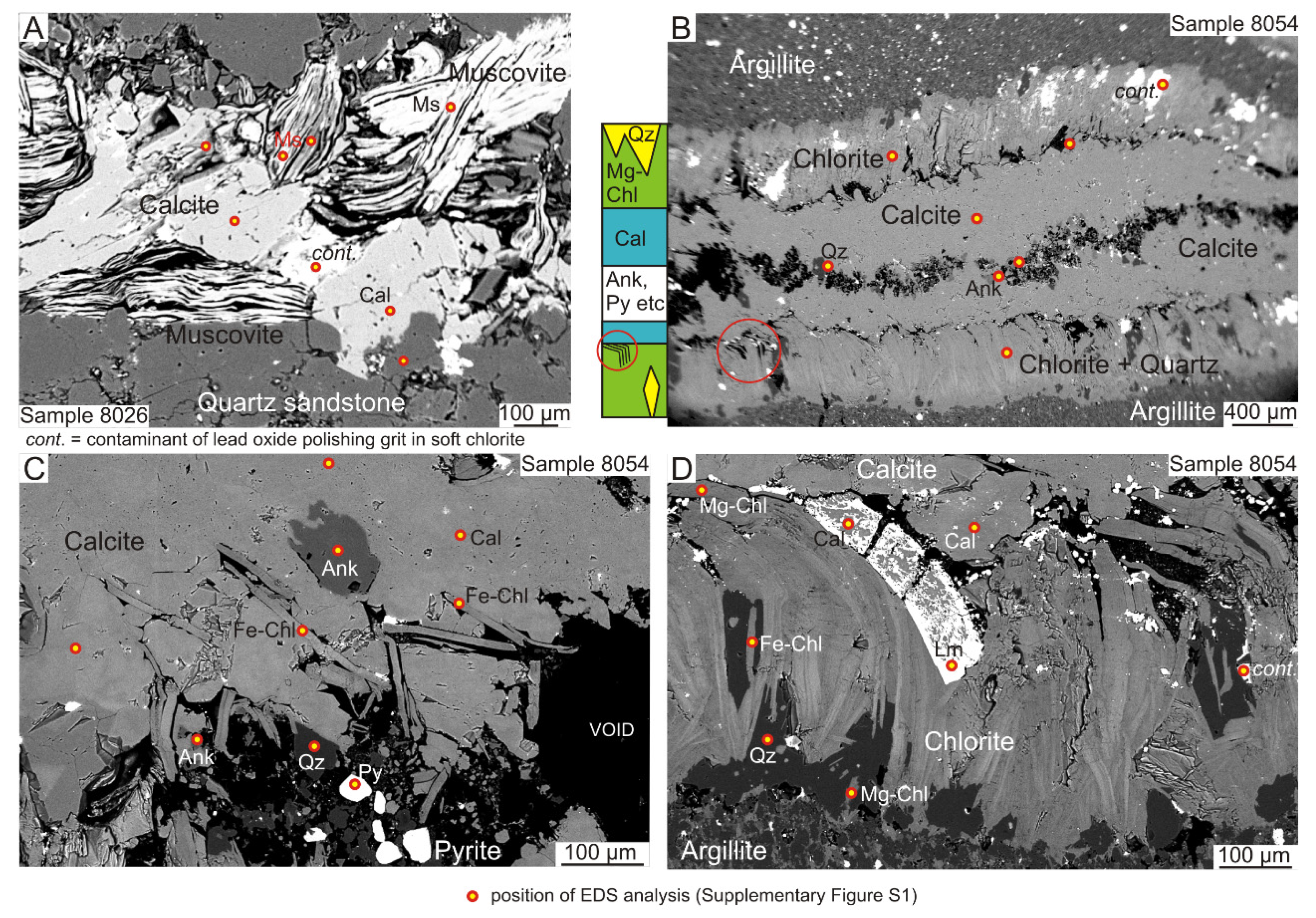 Minerals 11 01413 g004