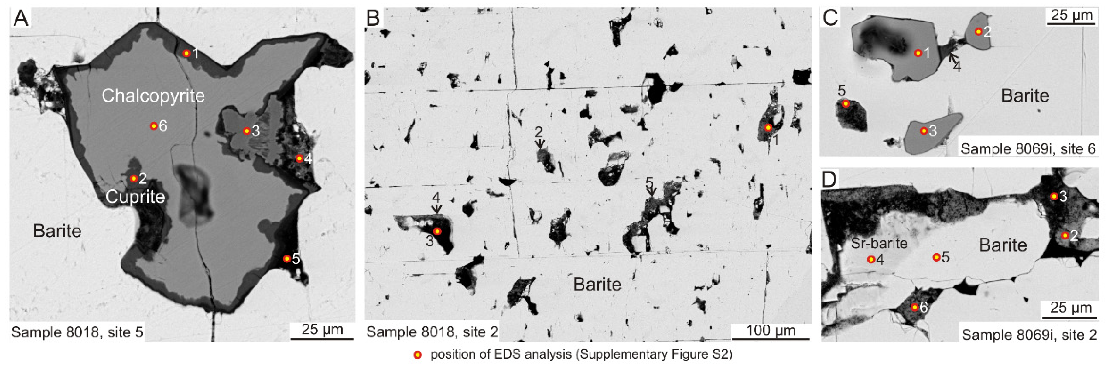 Minerals 11 01413 g006