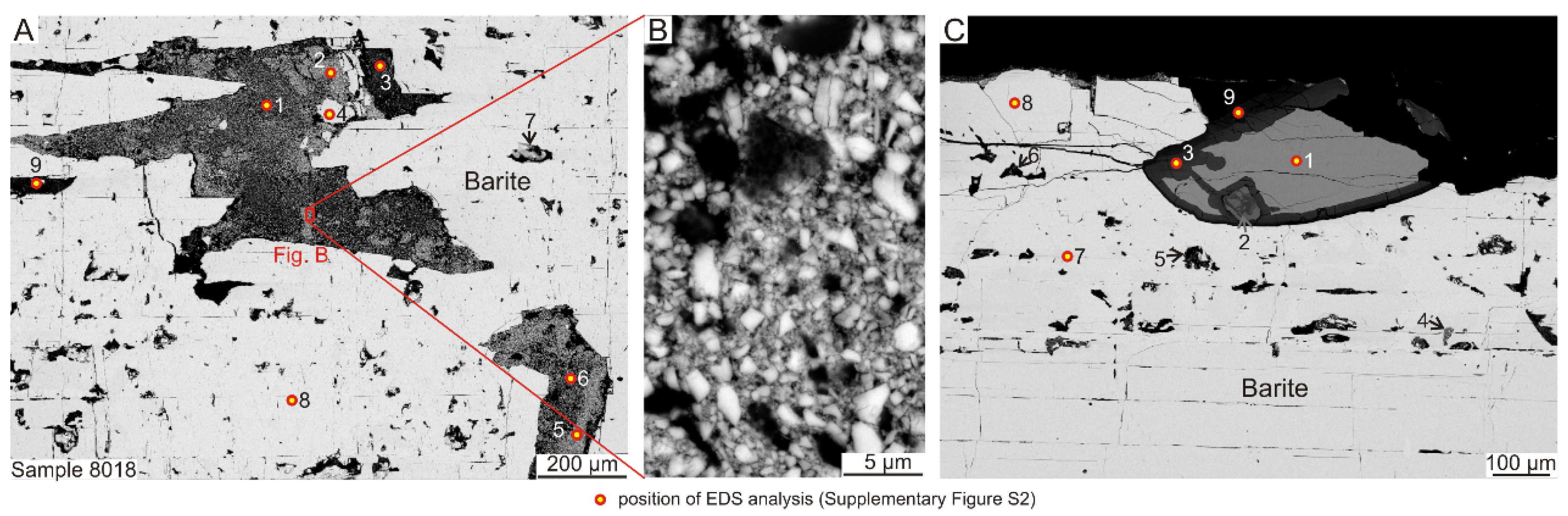 Minerals 11 01413 g007