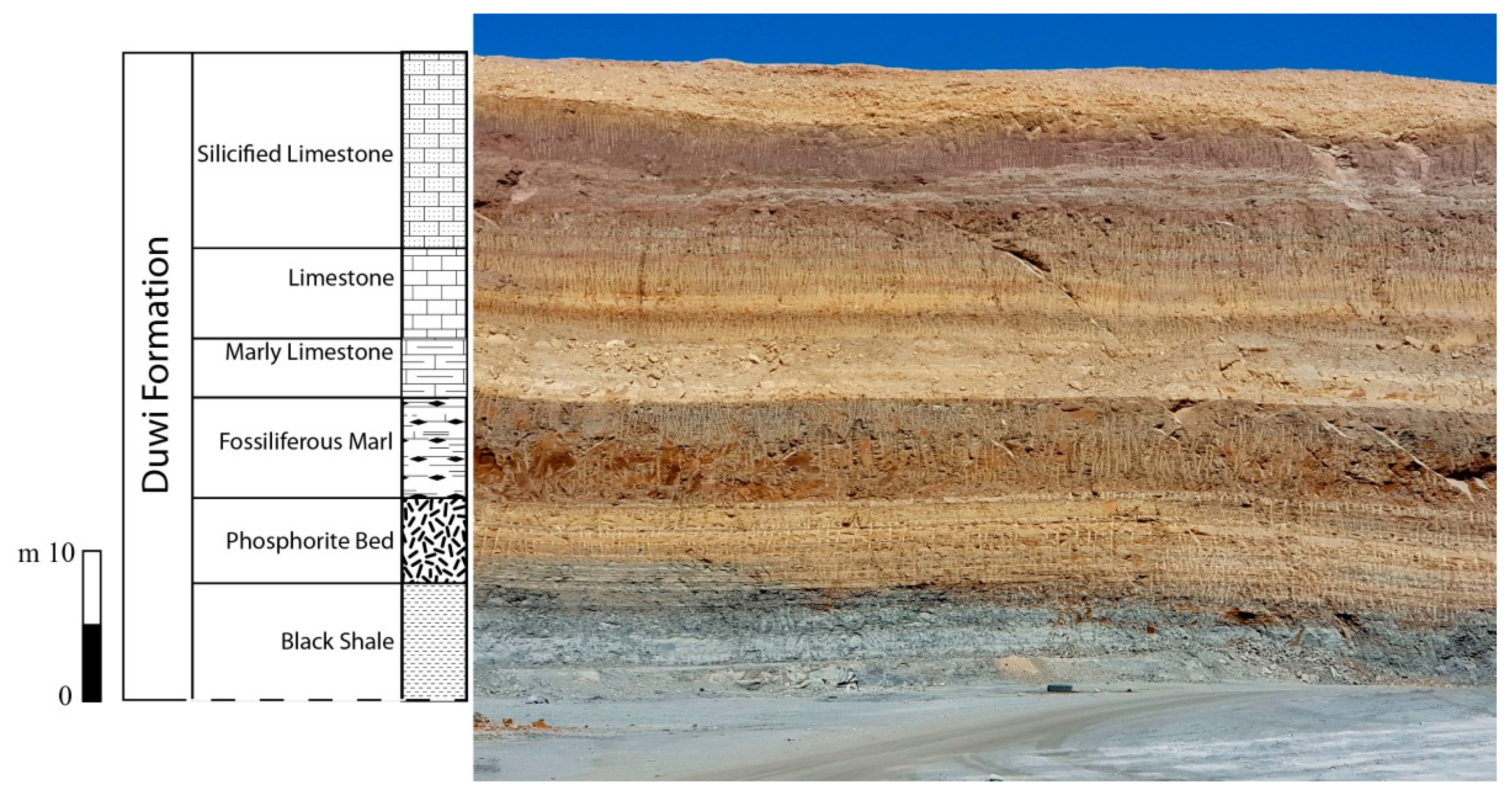 Minerals 11 01416 g002