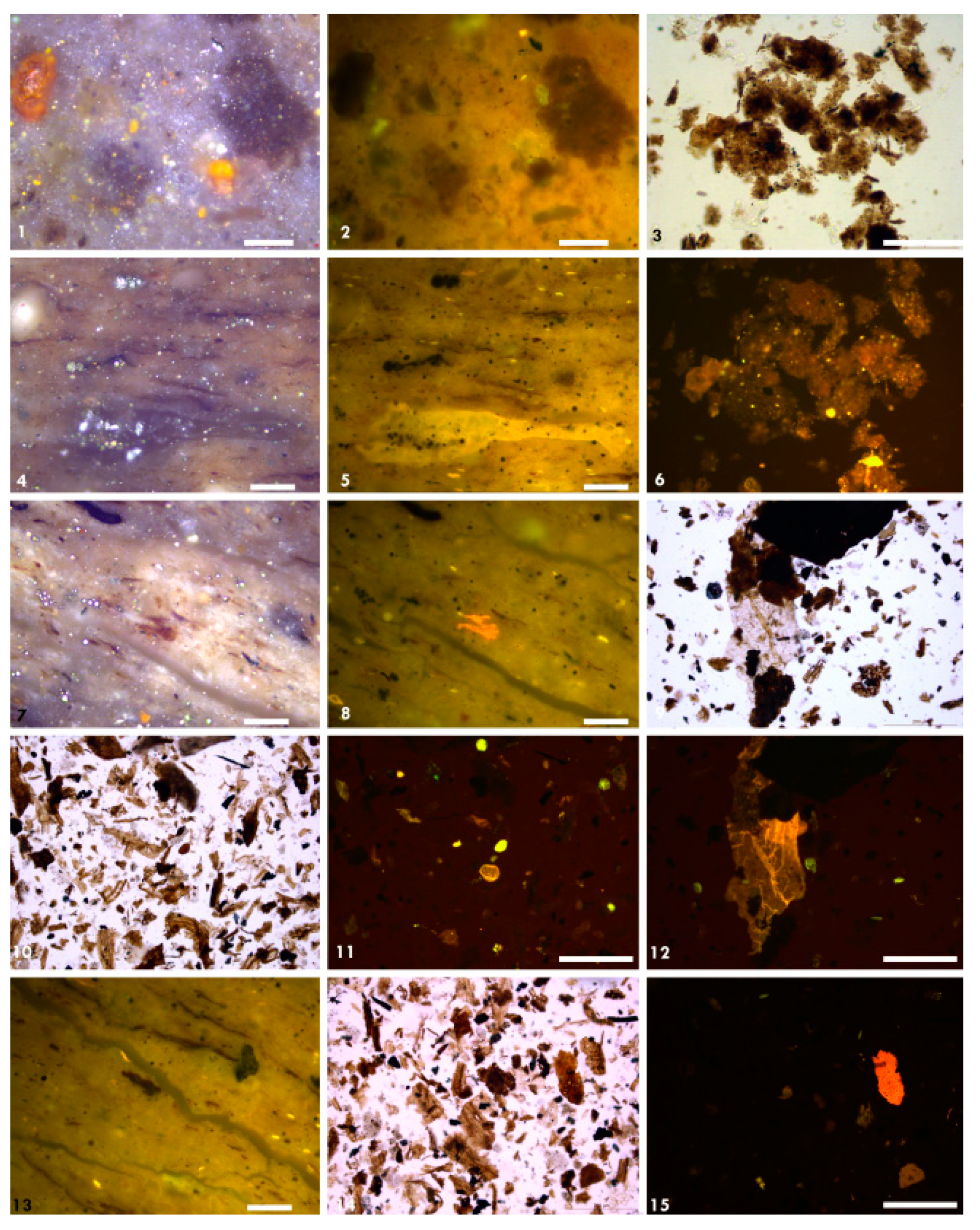 Minerals 11 01416 g013