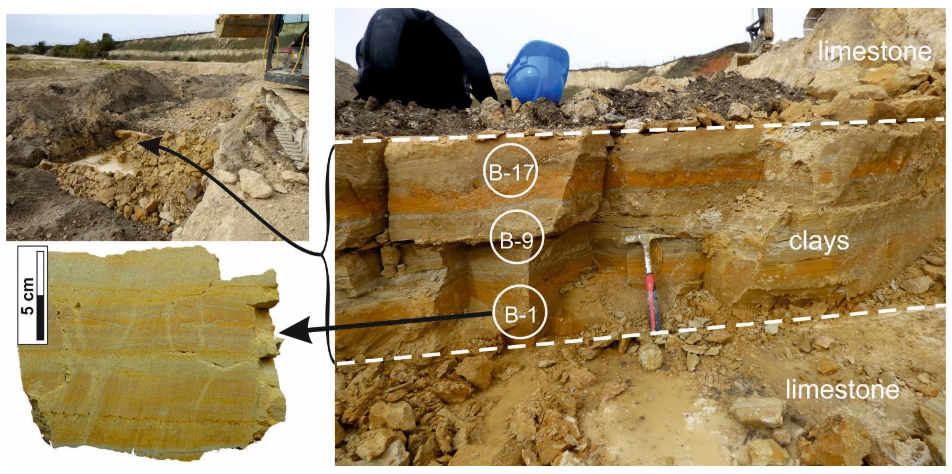 Minerals 11 01417 g003