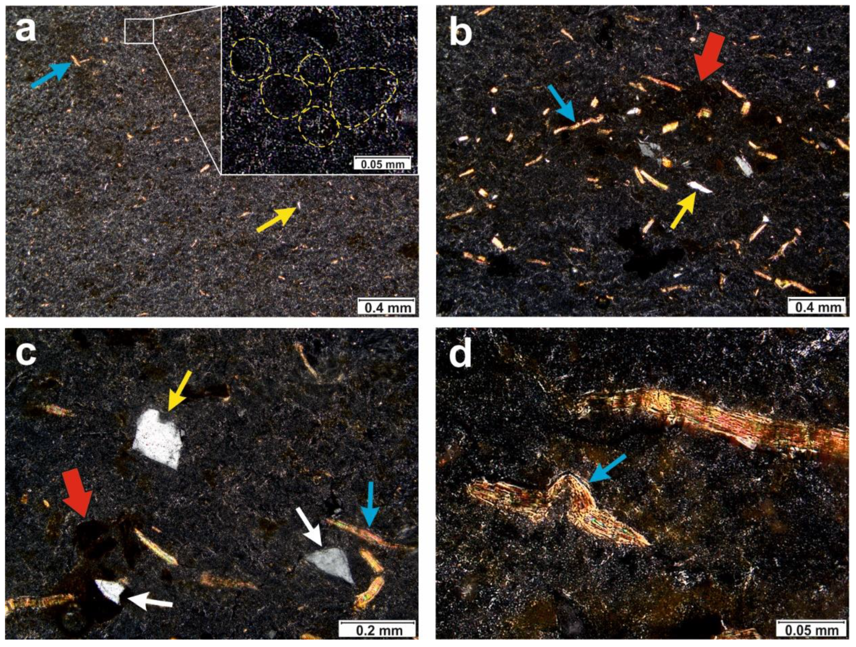 Minerals 11 01417 g006