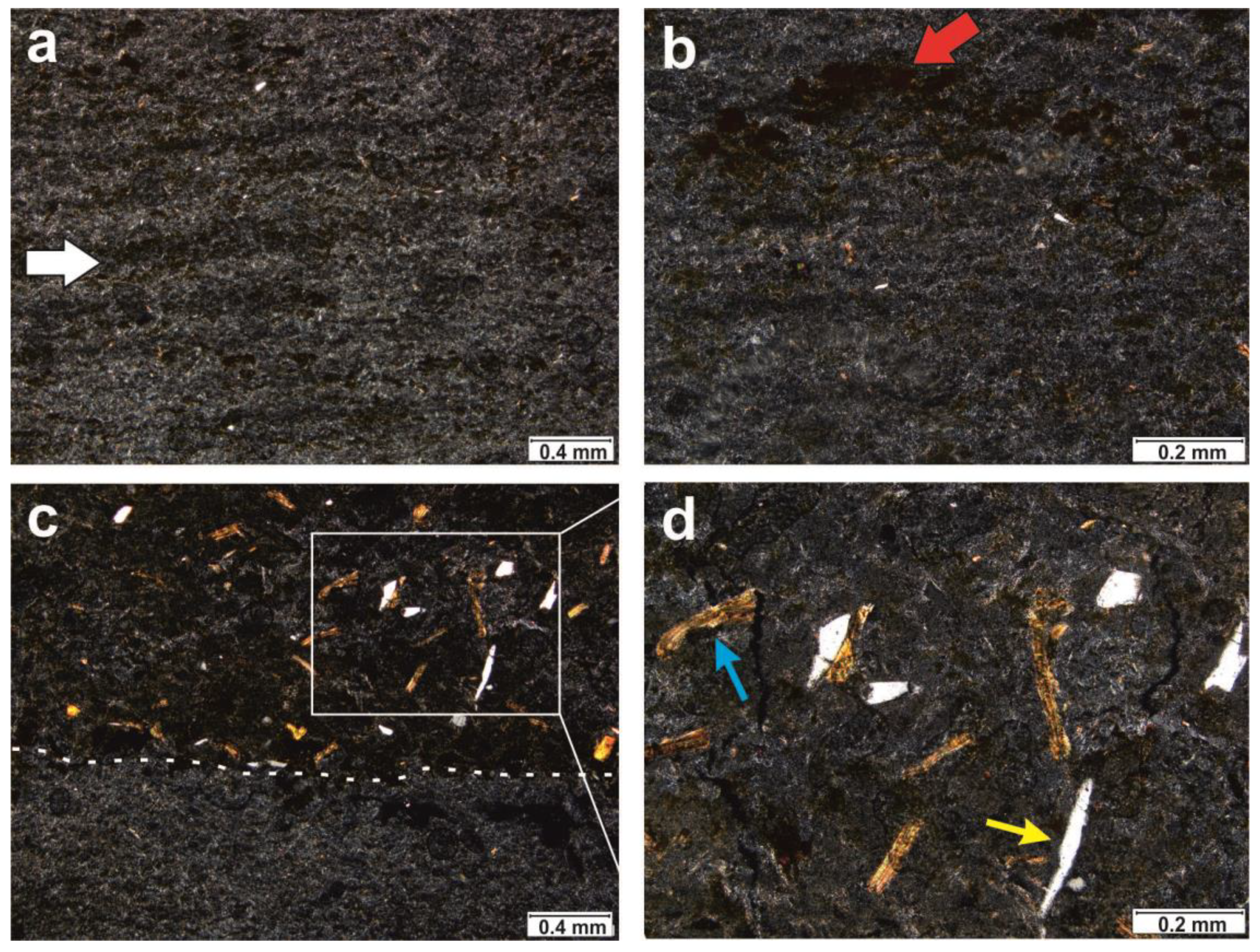 Minerals 11 01417 g007