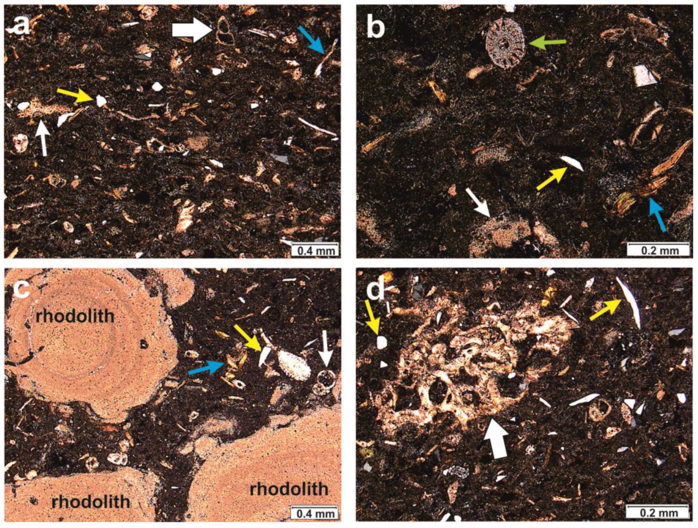 Minerals 11 01417 g008