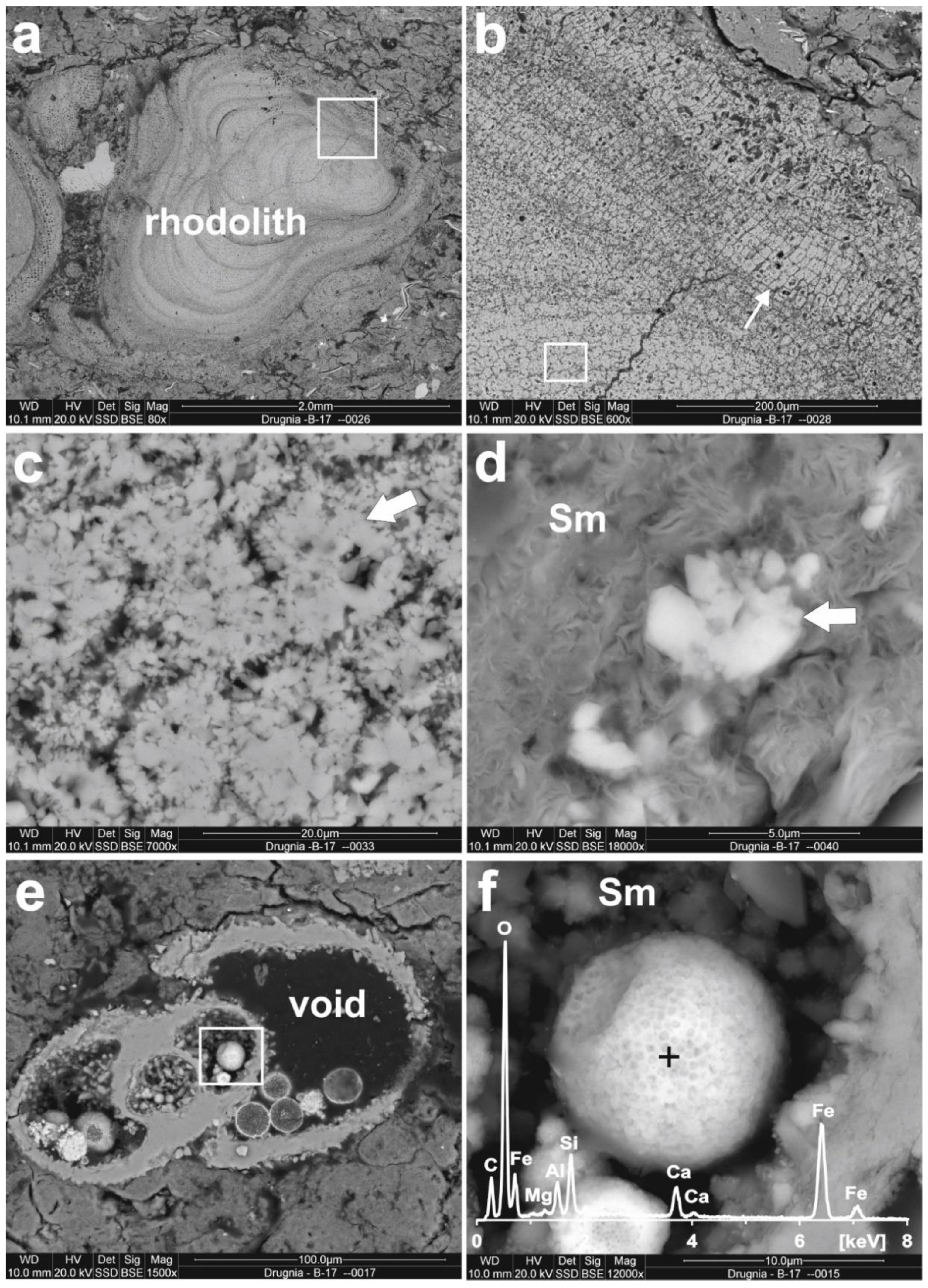 Minerals 11 01417 g011