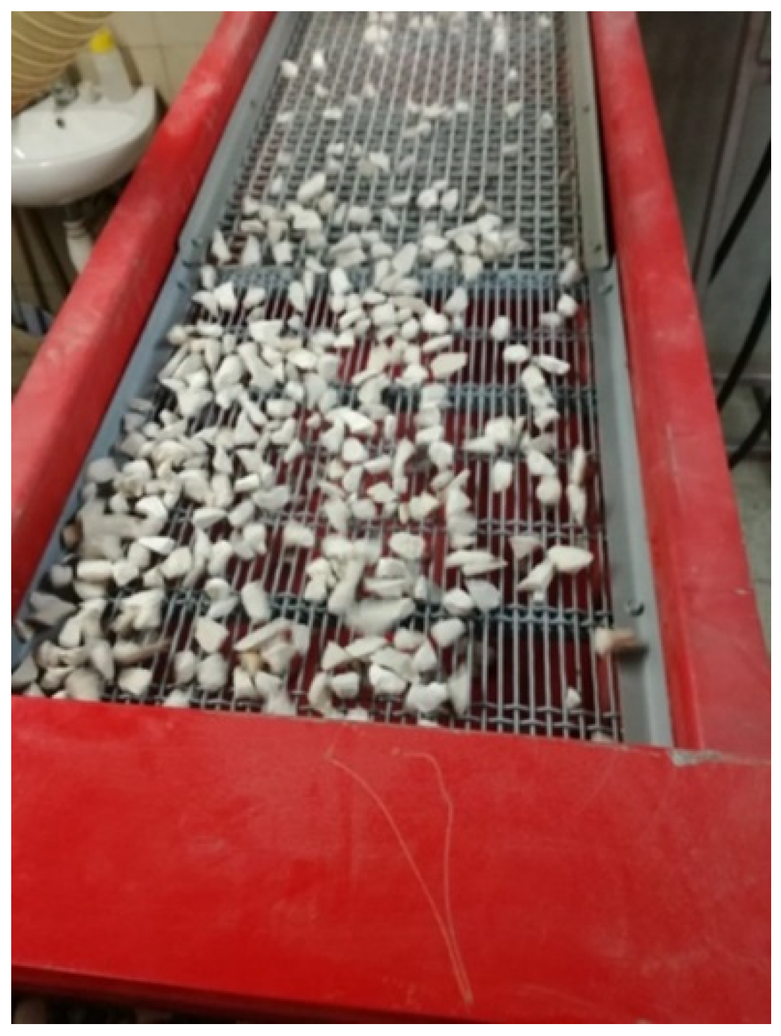 Minerals 11 01429 g018