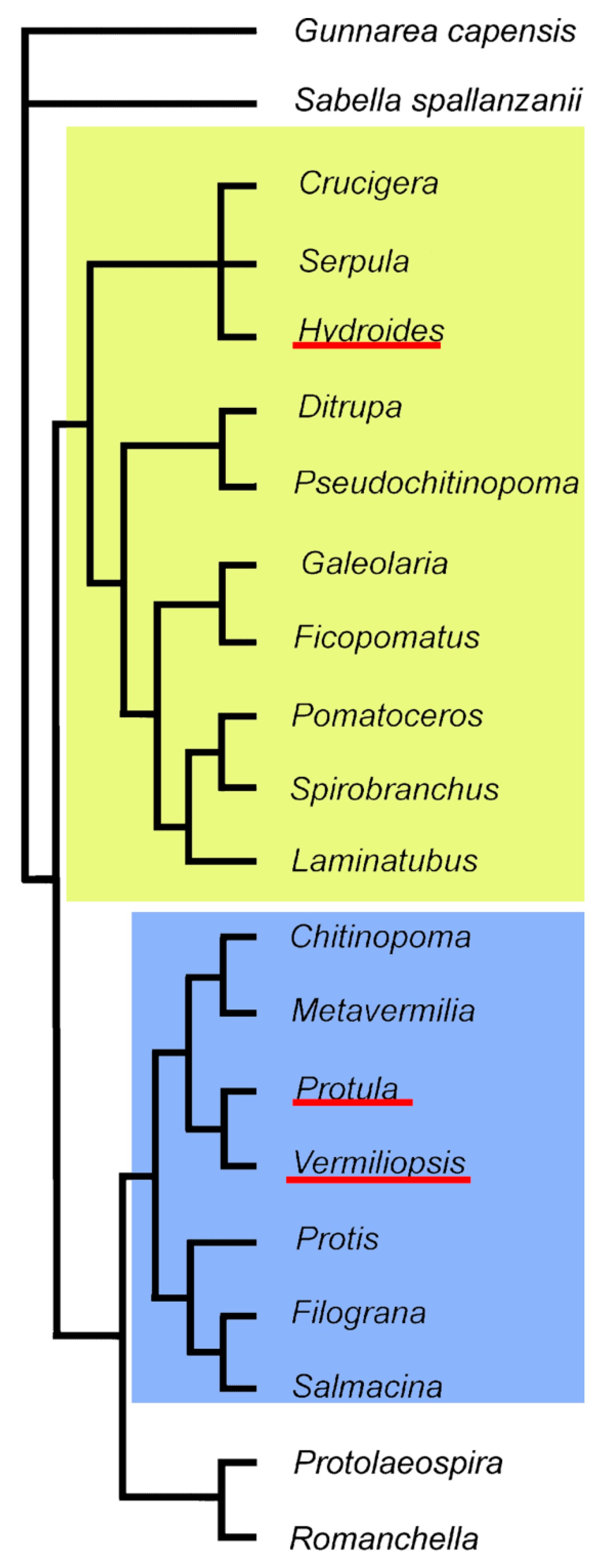 Minerals 11 01435 g001