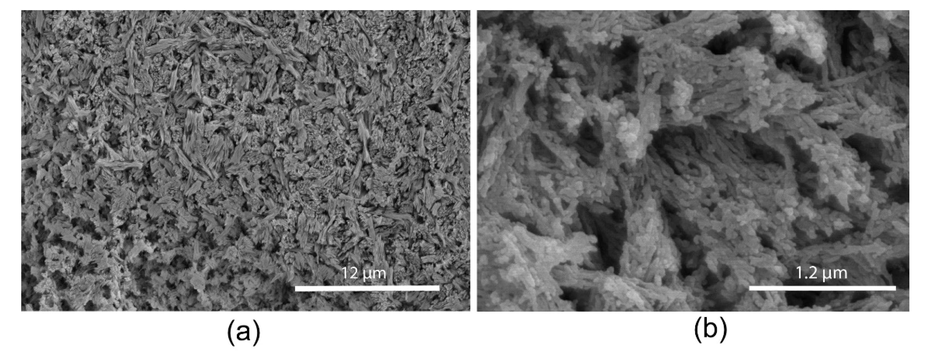 Minerals 11 01435 g003