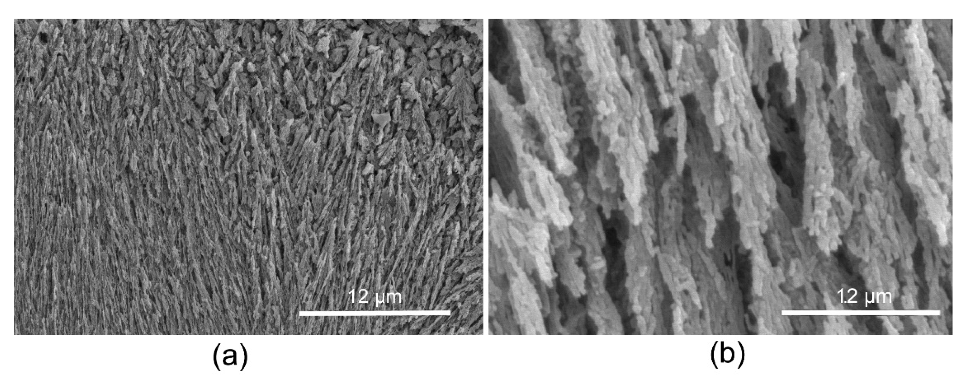 Minerals 11 01435 g004