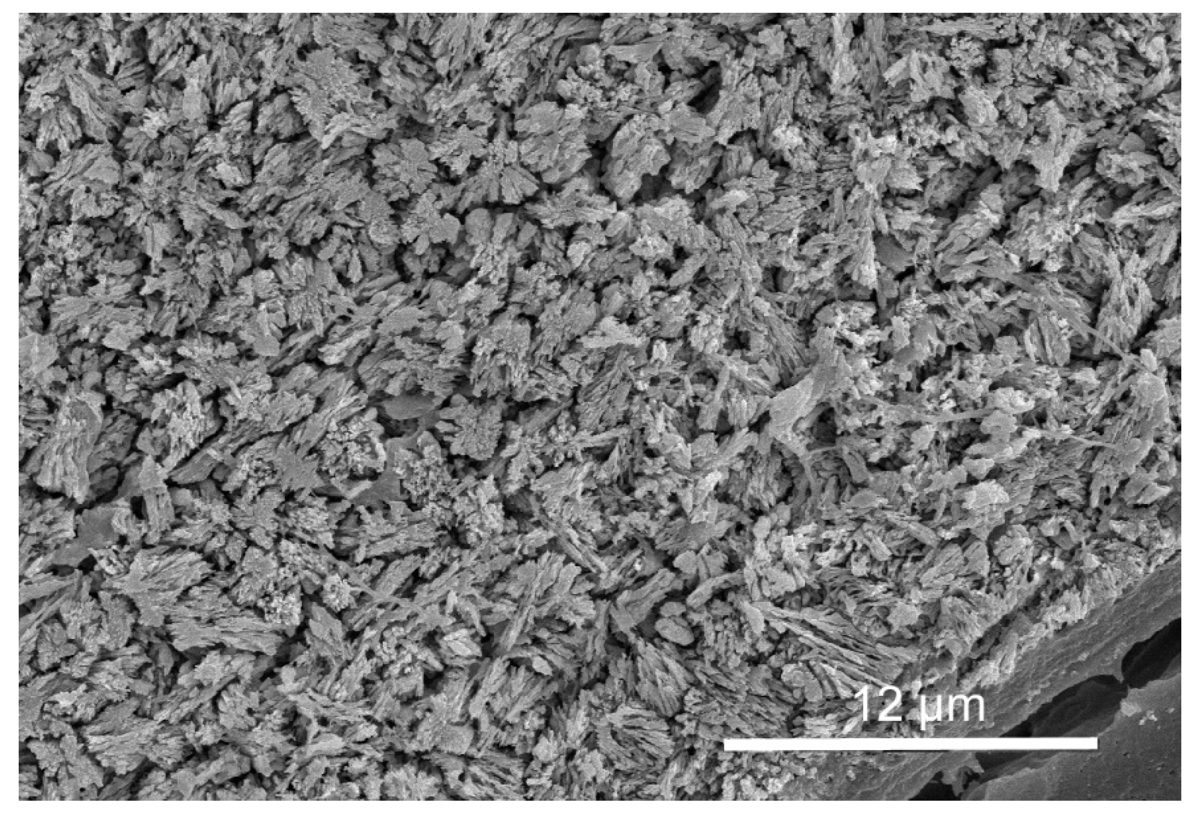 Minerals 11 01435 g005