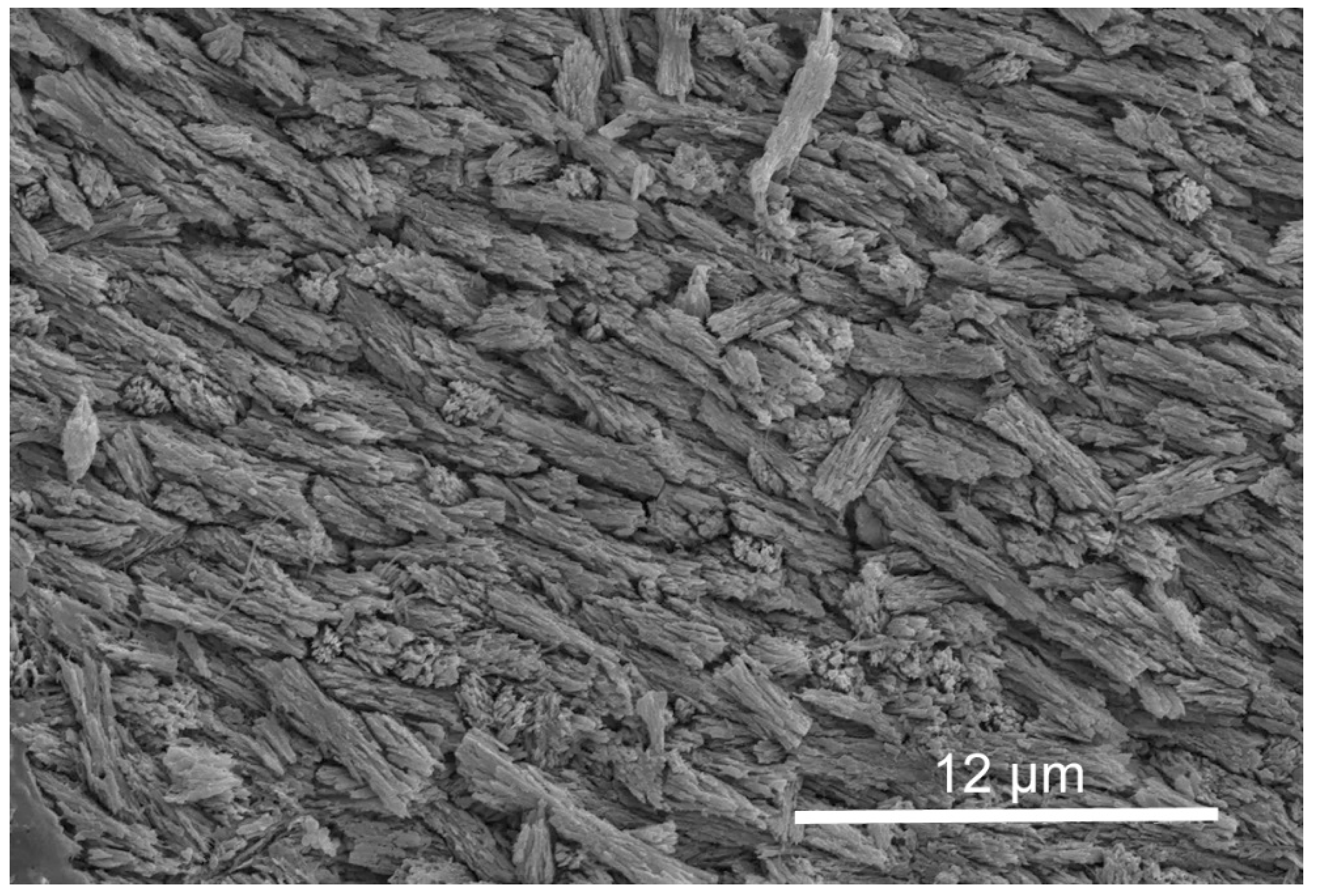 Minerals 11 01435 g006