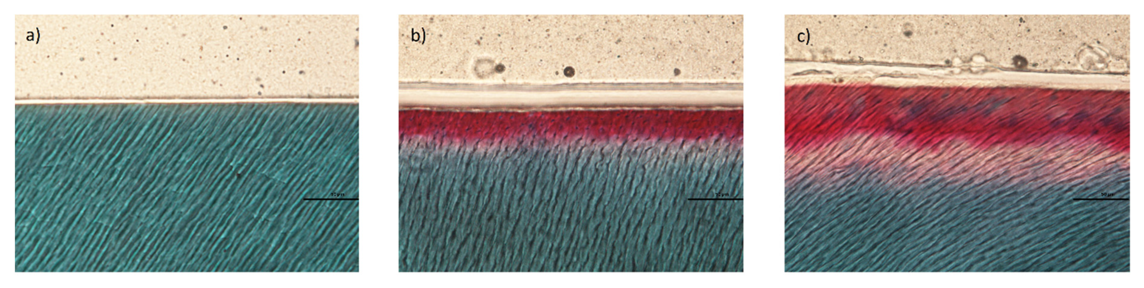 Minerals 12 00005 g008 Minerals 12 00005 g008