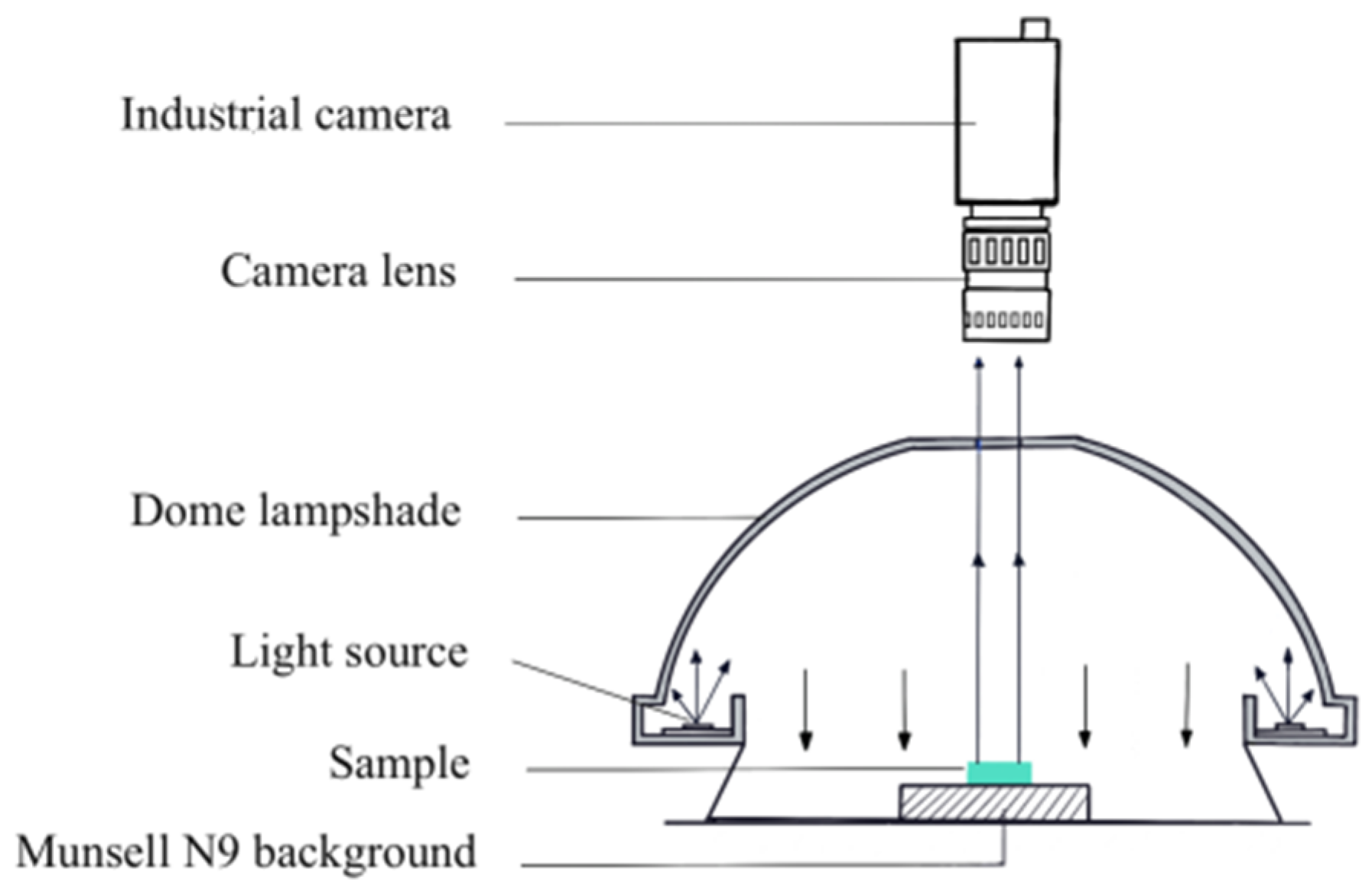 Minerals 12 00038 g006