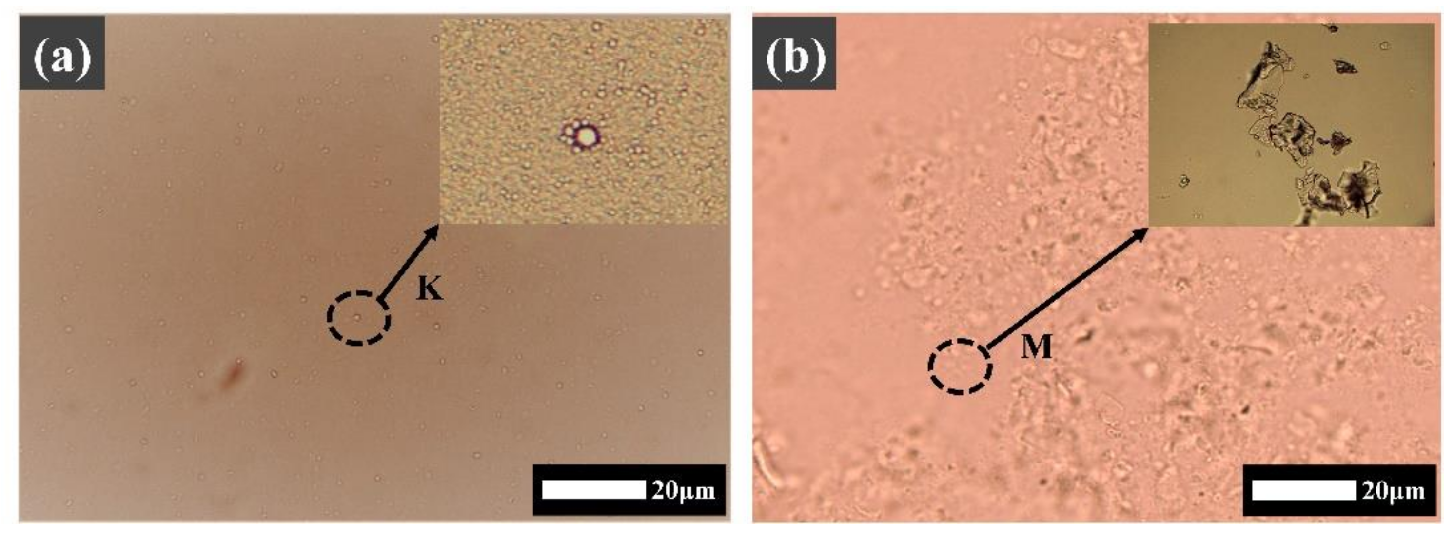 Minerals 12 00048 g004a