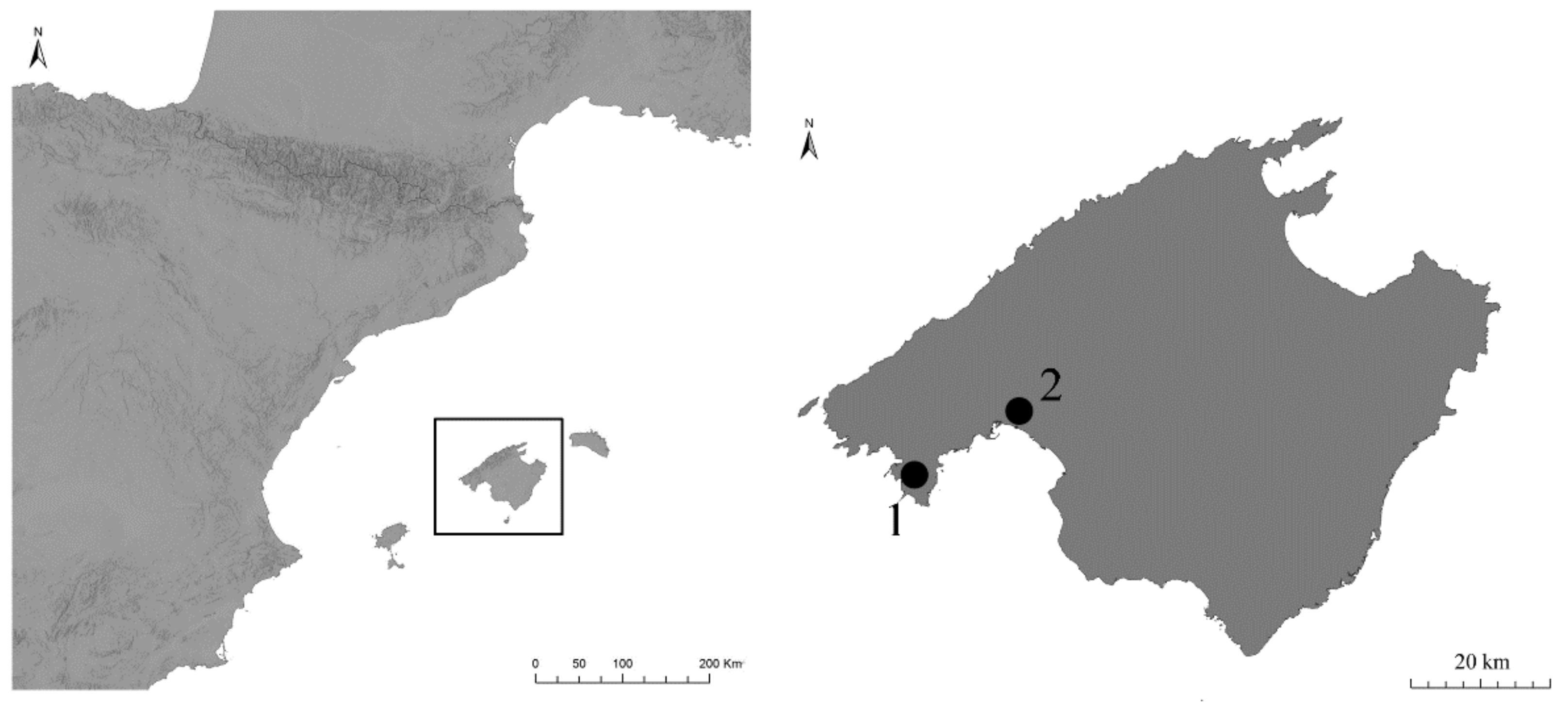 Minerals 12 00106 g001 Minerals 12 00106 g001
