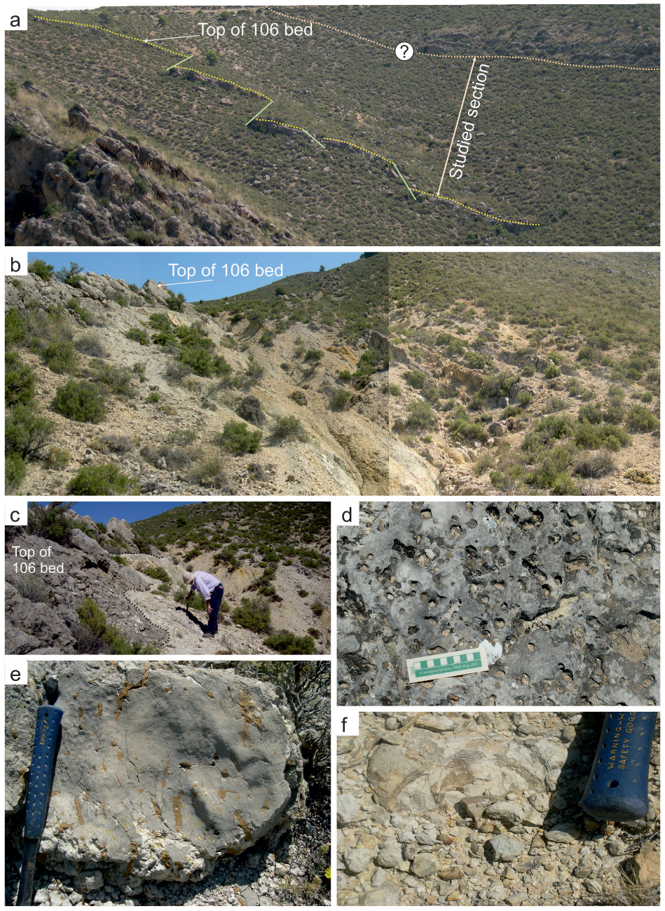 Minerals 12 00116 g004