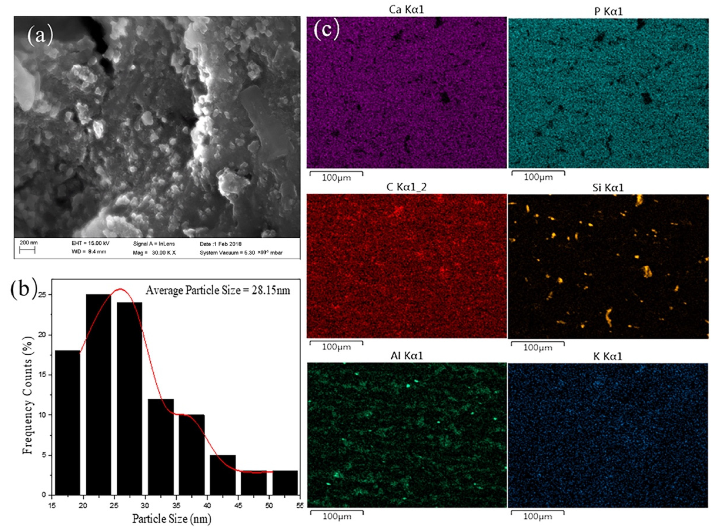 Minerals 12 00117 g005