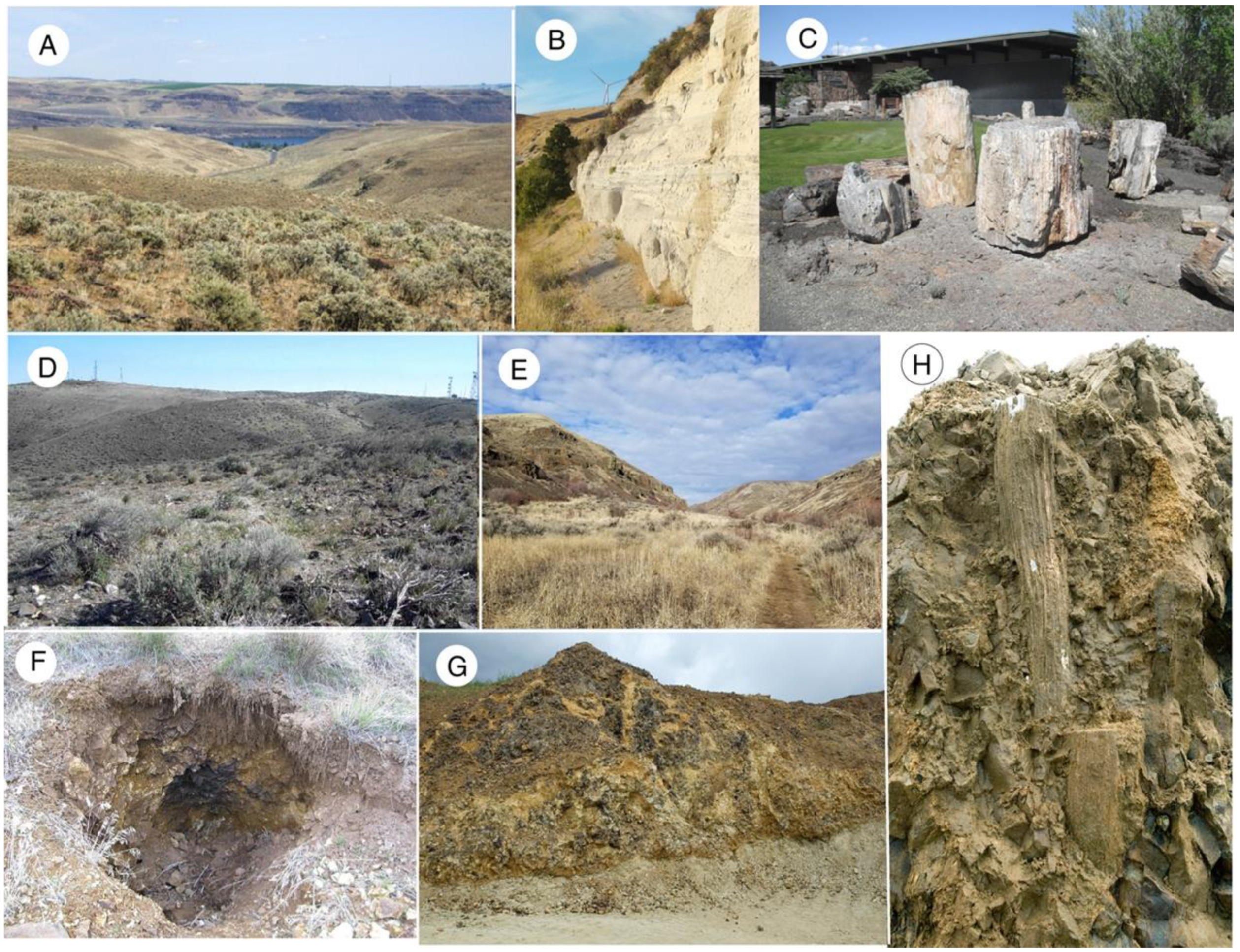 Minerals 12 00131 g004