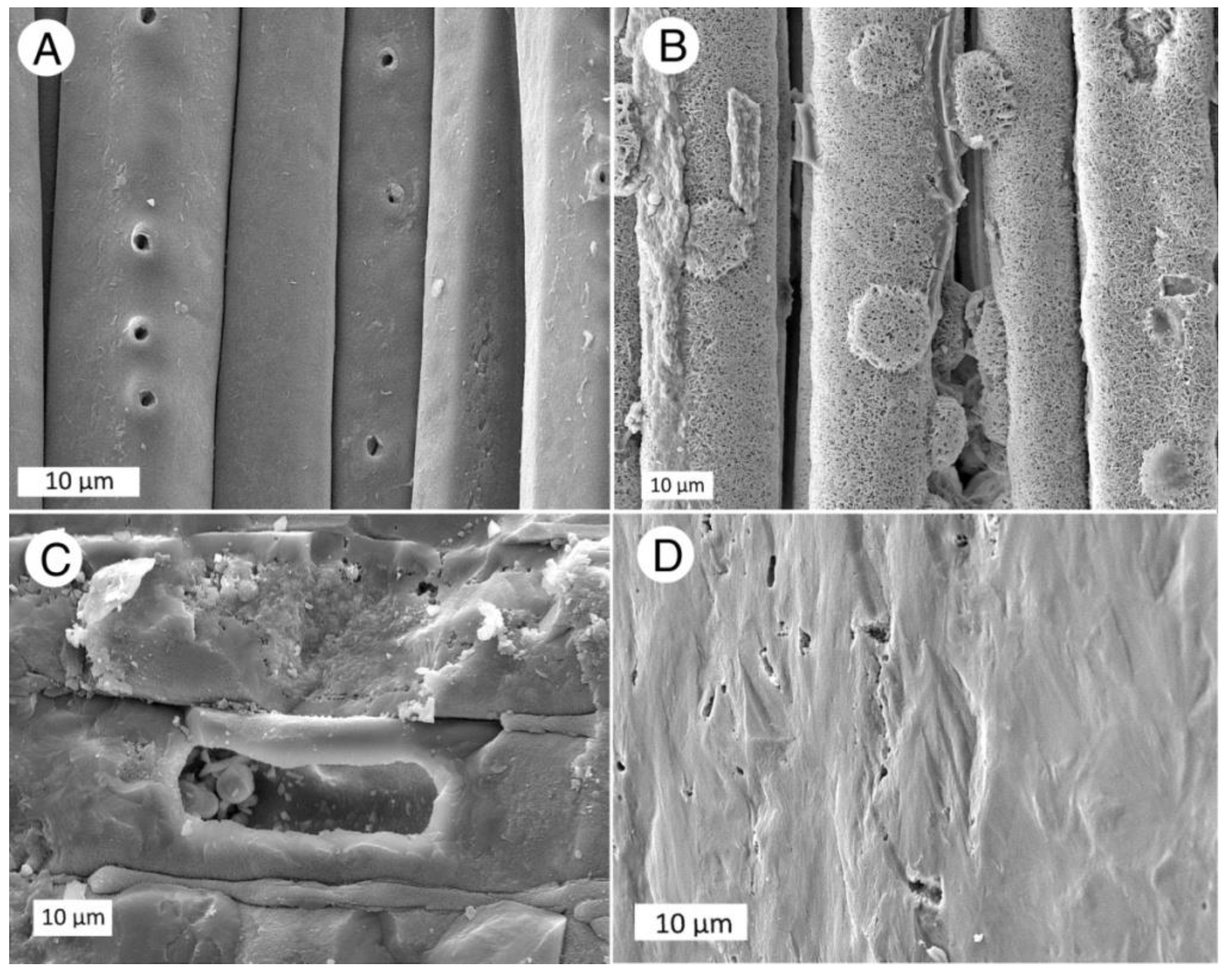Minerals 12 00131 g007
