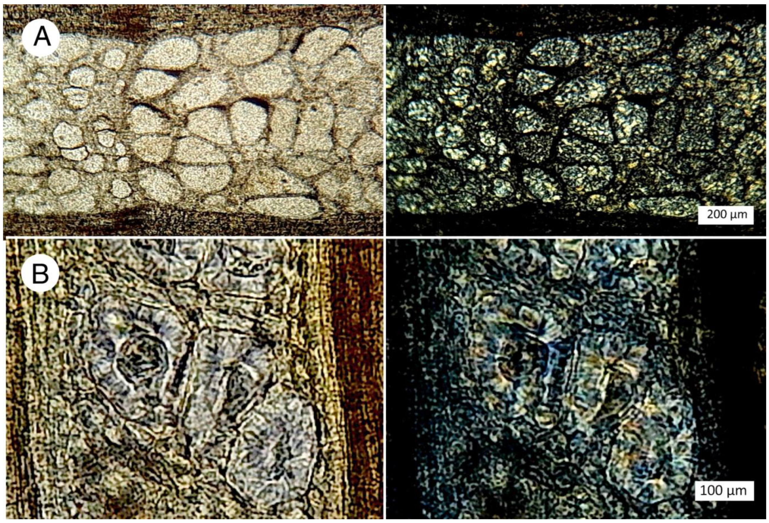 Minerals 12 00131 g012