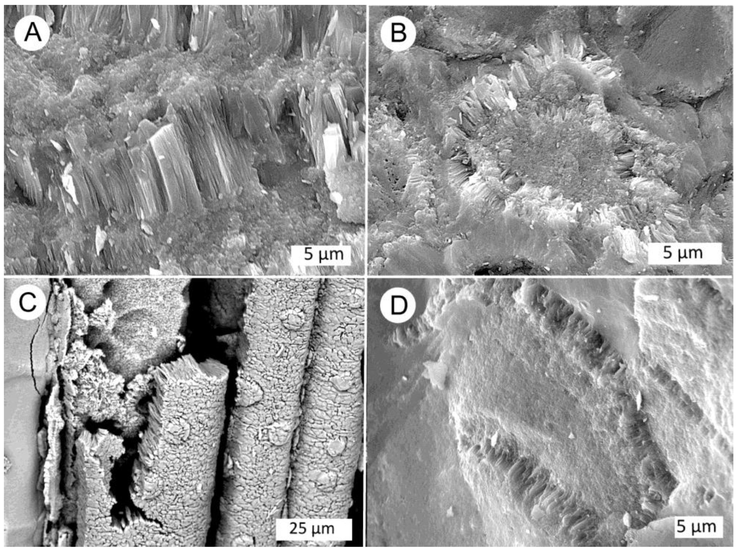 Minerals 12 00131 g013