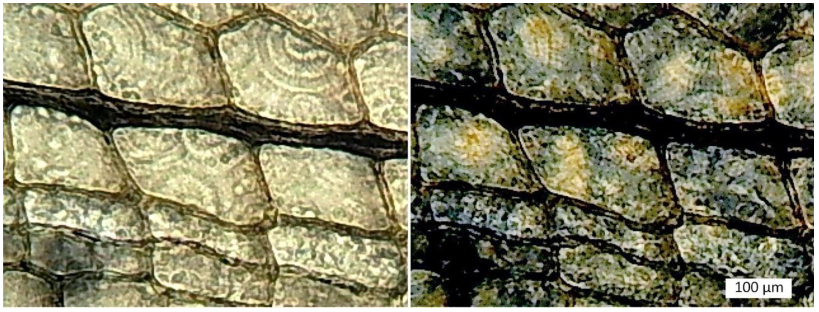 Minerals 12 00131 g014