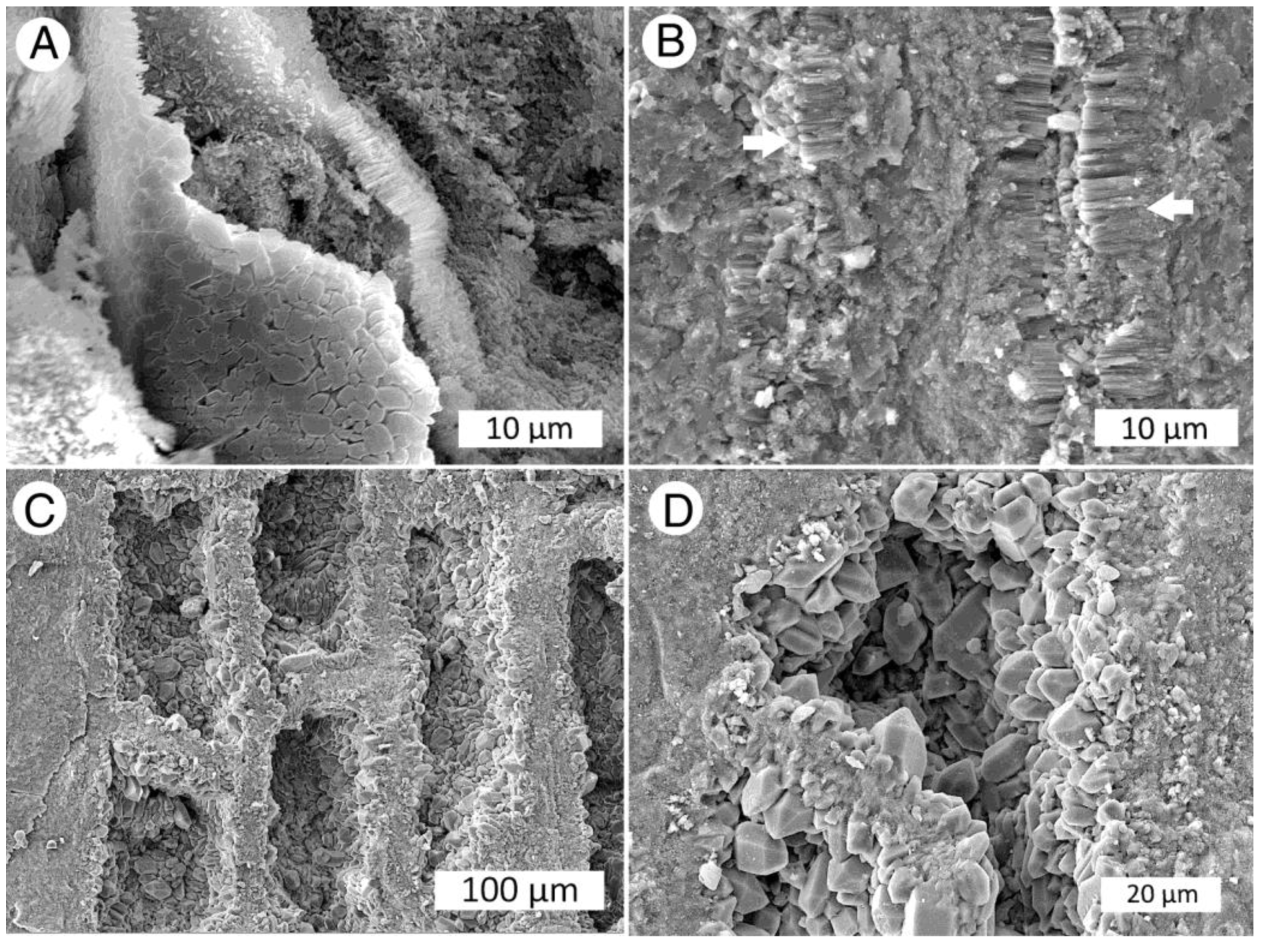 Minerals 12 00131 g015