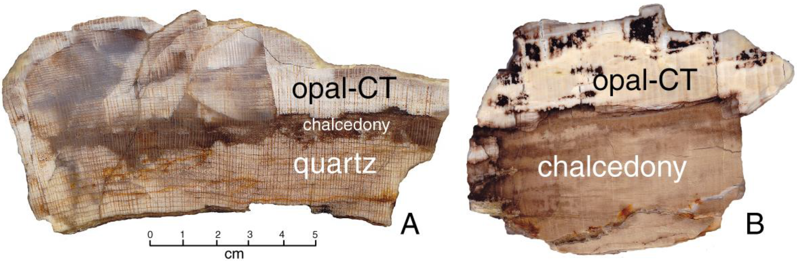 Minerals 12 00131 g017