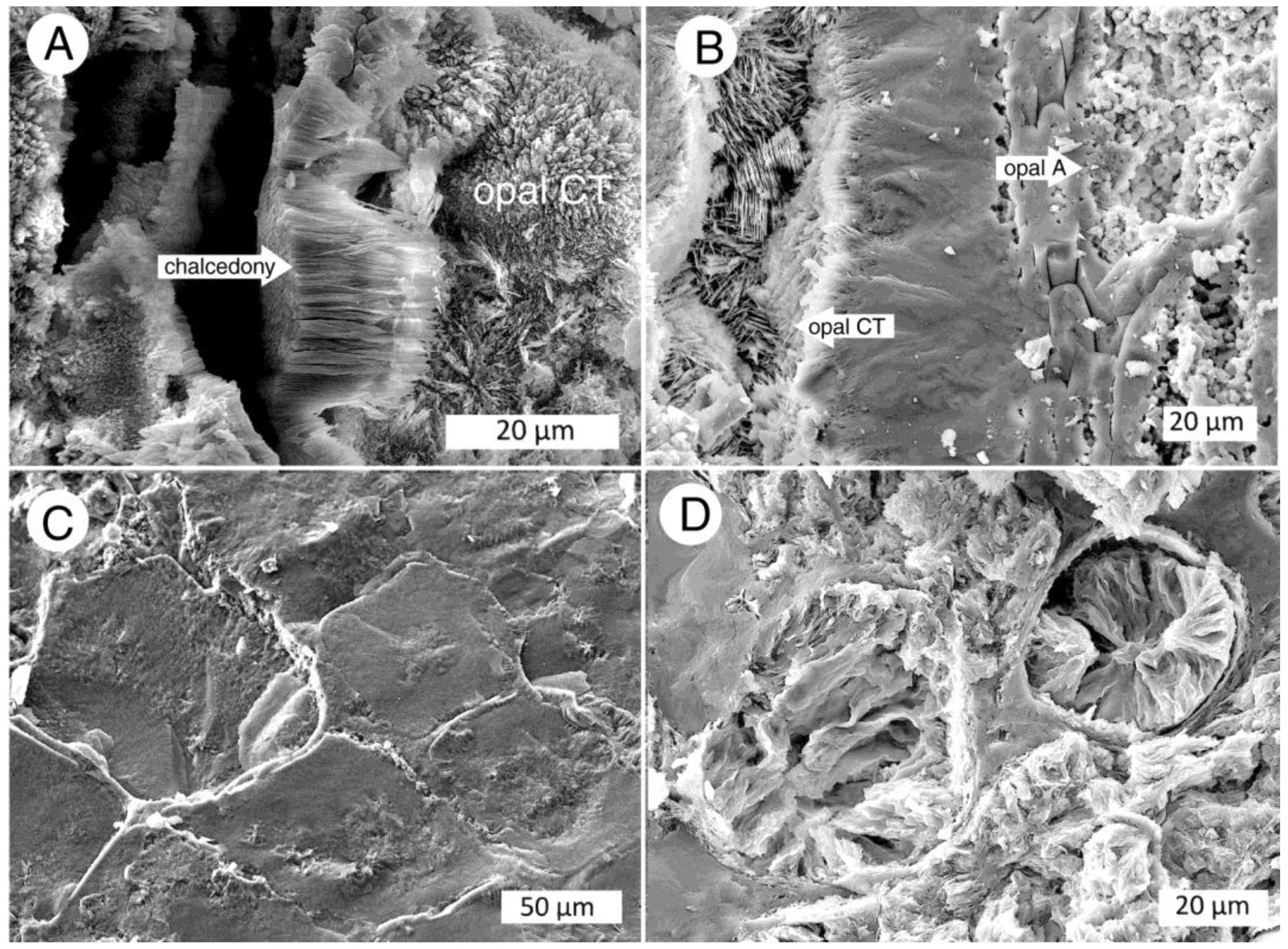 Minerals 12 00131 g018