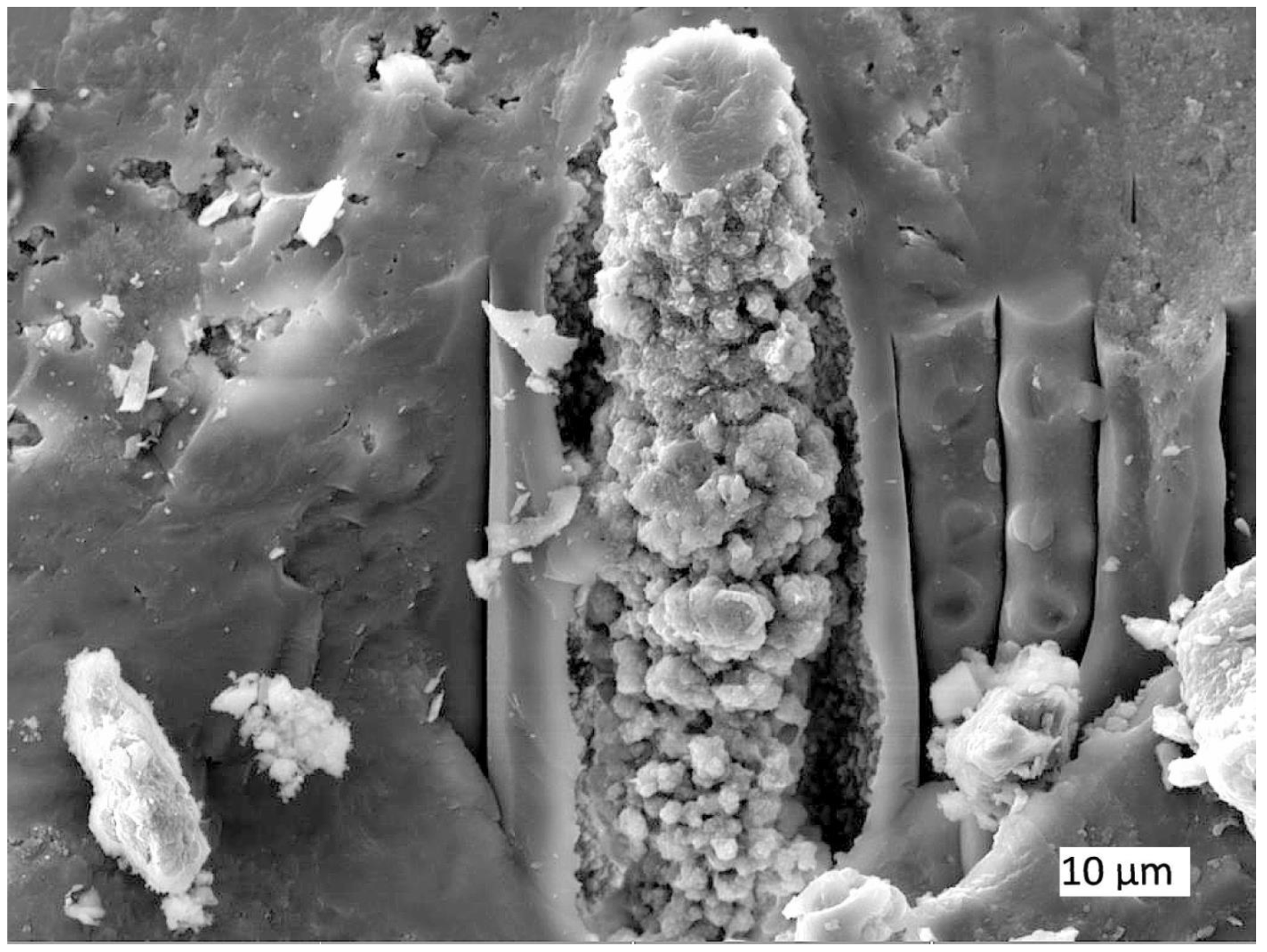 Minerals 12 00131 g019